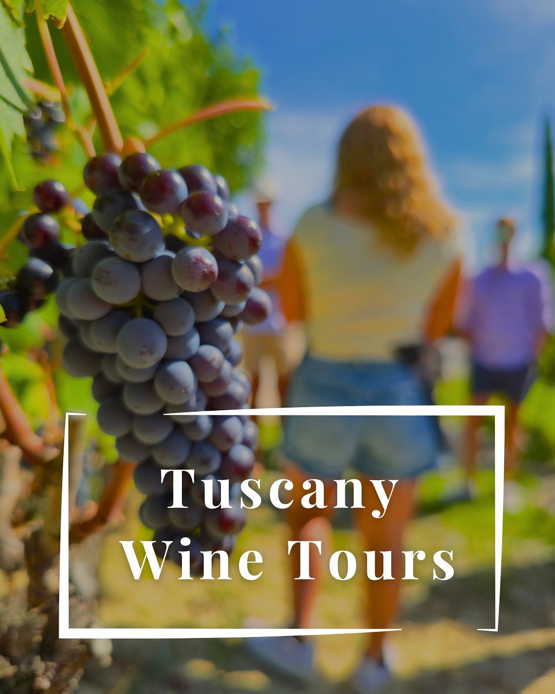 🍇✨ Tuscany Wine Tours ✨🍷
Vineyards, medieval villages, and the unmistakable taste of Tuscany.
With Greenways you can experience it all — whether on a private tour with our van or riding through the rolling hills on two wheels.
From cellar visits to authentic meals, every moment is crafted to make you feel the true essence of Italian lifestyle.
👉 Swipe through and discover why Tuscany is more than a destination — it’s a way of living.
📩 DM us to book your private or bike wine tour today.
.
.
.
#TuscanyWineTour #LuxuryTravelItaly #GreenwaysItaly #WineLovers #BikeTourItaly #TuscanHills #PrivateWineTour #WineExperience #ItalianLifestyle #TravelItaly #VineyardViews #FoodAndWineExperience #LuxuryWineTour #ItalyTravelPlanner #CountrysideChic