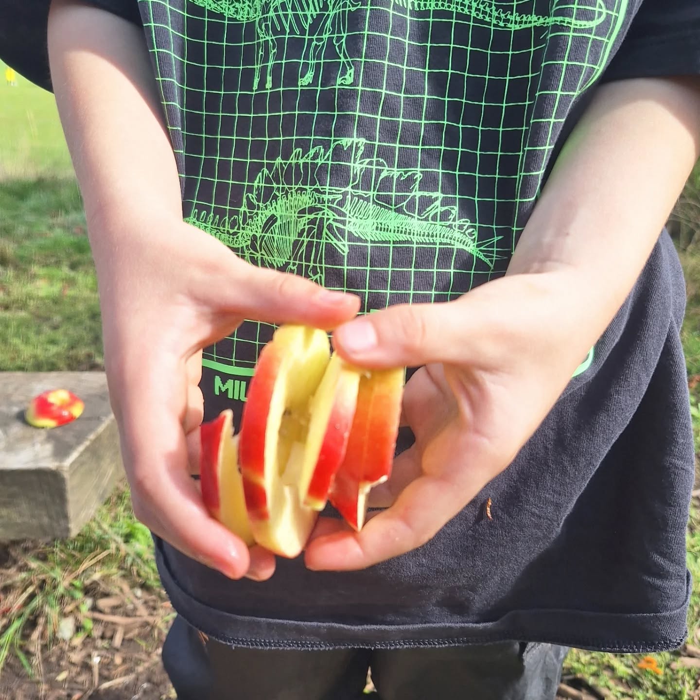 Back to school & all things autumn.
How can resist an apple when it looks like a slinky 𤪠The children ate so many apples today.
We used the last of the blackberries to do some tie dye. It didn't look like we would have enough but with a bit of a squeeze - ta-dah!
So good to be back. The sun shone & there was a bounty of berries to play with.
#outdoorlearning #autummharvest #sensoryautumn #berries