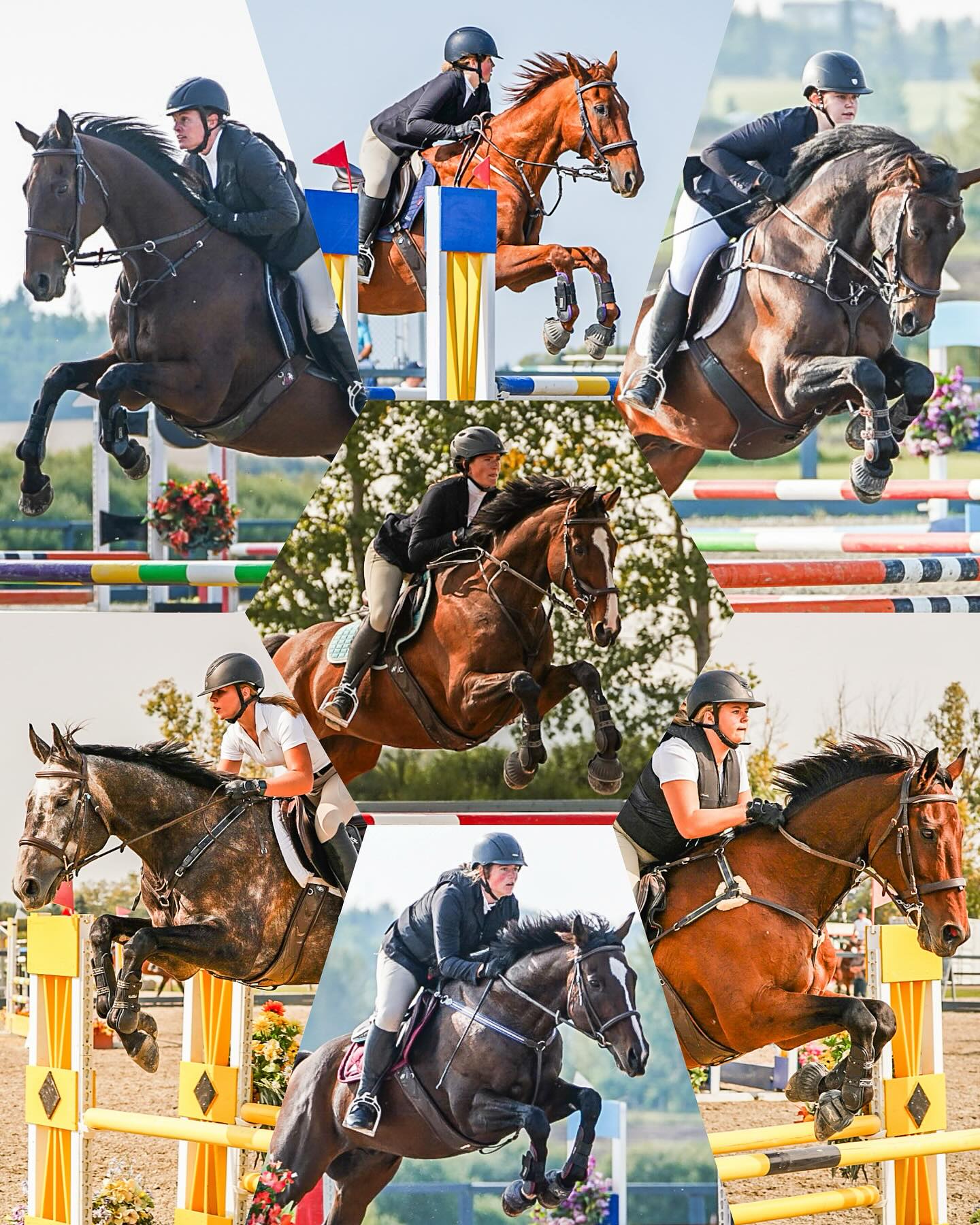 What a finish to the RMSJ finale! Our riders tore around Athabasca from 0.60m through 0.90m, laying down fabulous rounds and making their coaches proud as we zipped between rings to catch every moment. @dpederson_eq @quixotic_dreams
Huge congratulations to this crew - you shone so brightly today!
A huge thank you to our home team who set up the show for this weekends riders and kept the farm ticking back on the ranch @holmez888 and @micah.equestrian
And as always, thank you to @siphonophoid for capturing the very best of our riders with his amazing eye behind the lens.