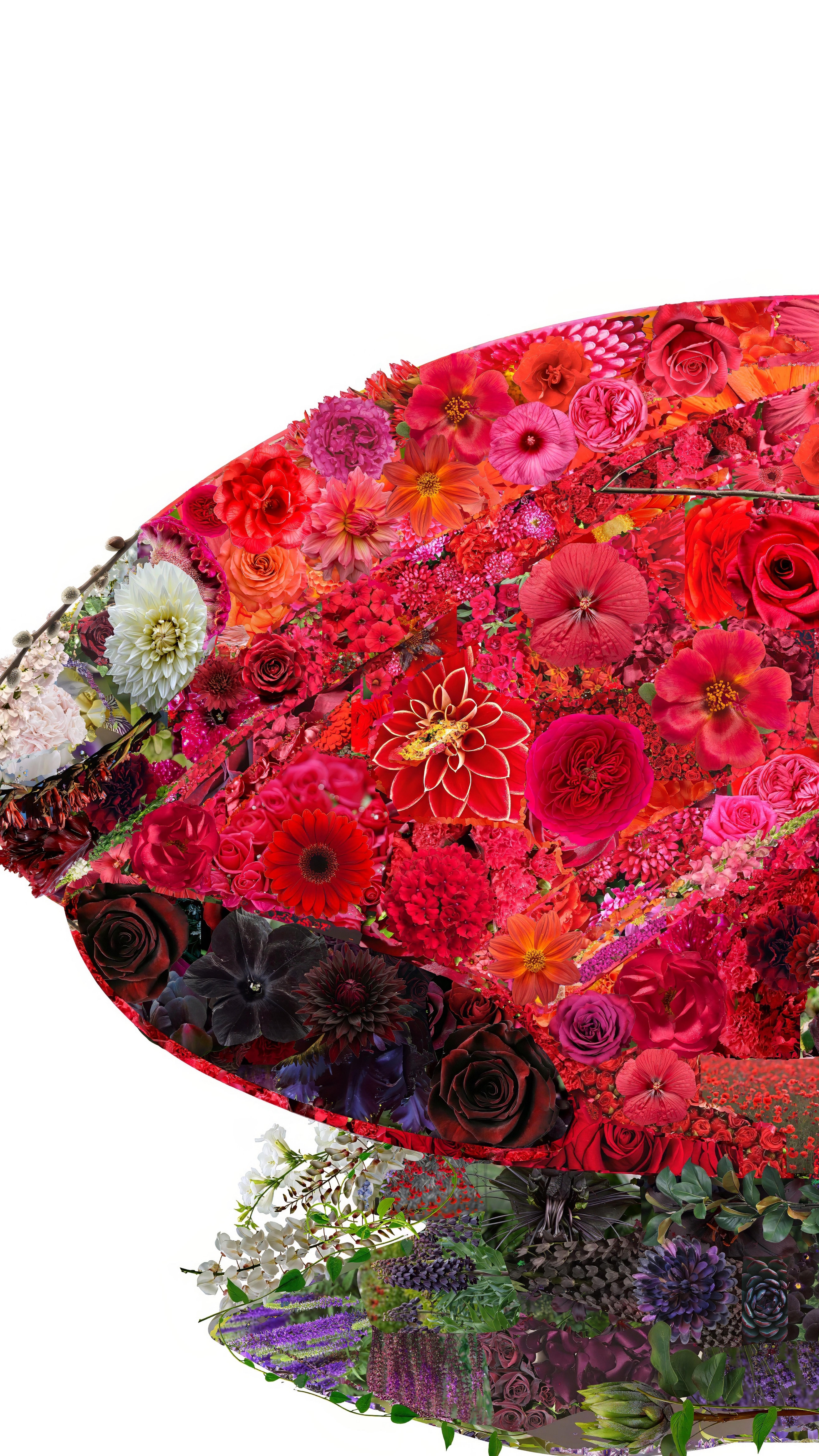 Creating a race car out of paper flowers is all about form, color and contrast. Here hundreds of flowers build up, layer by layer, to reveal the Ferrari Testarossa.
From my Petal To The Metal series.
See it @waterworksnc
#flowerpower #colortheory #paperflowers #racecars #ferrari #petal2themetal #testarossa #heidimraz #drivenbynarrative #thesparkthatdrivesus #waterworksvisualartscenter