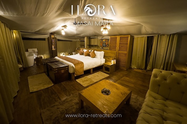 Thrilled to announce a new client for Sophie’s Collection - Ilora Retreats ..
Nestled in the heart of the Masai Mara National Reserve in Kenya, Ilora Retreats is a luxury tented camp with only 14 vast tents over 600 square feet in size, occupying only 4 acres on a property of 30 acres, in a dense forest.
The tents are tastefully decorated with unique artworks, rustic furniture, and 360-degree open views. Each secluded tent has an open balcony and private bush view.
Every element is designed to invigorate your senses. Here, the slow and experiential life invites you to connect with nature. Here luxury meets wilderness.
Striving to be carbon neutral, they use 100% solar energy, have zero plastic usage, and retain 95% of the natural forest cover. They have designed unique activities at the camp, beyond safaris. Guests can also engage in conservation and community work activities.
The camp is inside the main reserve, 10 mins from Olkiombo airstrip,40 mins from Talek/Musiara gates, 1 hour from Sekenani gate and 10 mins from main Mara migration Crossing
Please contact me for more details sophie@sophiescollection.co.uk or DM me