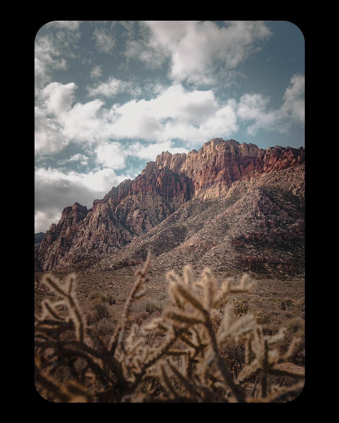 Throwback to last November at Red Rocks in Las Vegas 🌵🪨
The landscapes were unreal — massive cliffs, desert trails, and colors that felt straight out of a painting. The crisp, cold air made it even more memorable, a totally different vibe than the usual Vegas scene.
#RedRocks #LasVegas #RedRockCanyon #desertvibes #landscapephotography #naturephotography #hikingadventures #exploretocreate #travelgram #desertlandscape #mountainviews #wanderlust #beautifuldestinations #getoutside #throwbacktravel