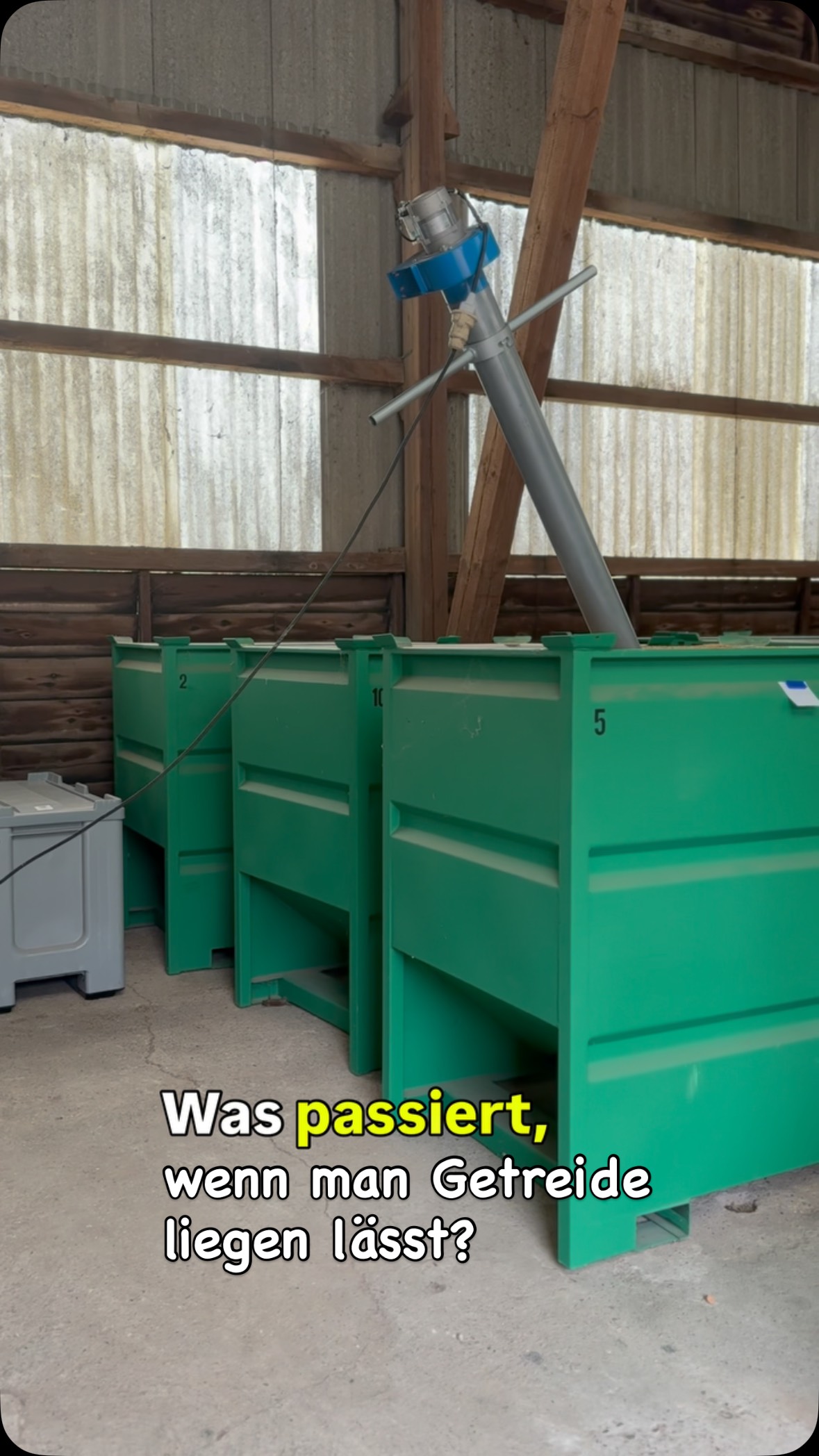 Was passiert eigentlich, wenn Getreide zu lange liegt?
Die Antwort könnte dich überraschen – und ist nicht nur für Bäcker spannend! 👀
In unserem Video erfährst du kurz & knackig, warum Lagerzeit über Qualität und Geschmack entscheidet.
👉 Schau rein und lerne in 25 Sekunden, worauf es wirklich ankommt.
#Getreidewissen #Mehlmanufaktur #FoodFacts #RegionalGenießen #kurpfalz #kurpfalzbauer #landwirt #landwirtschaft