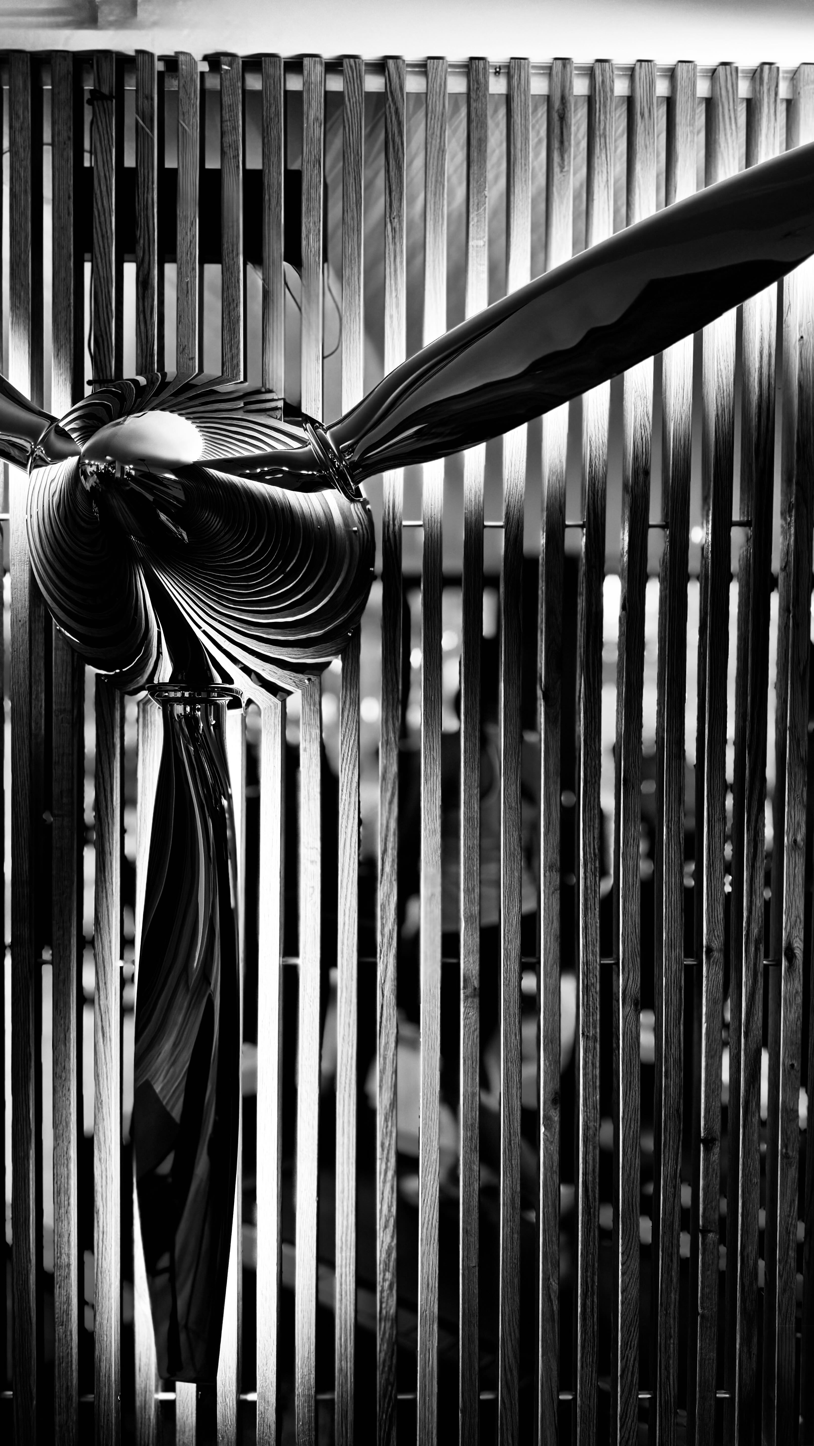 SKY není jen fitko.
Je to místo, kde se budeš cítit dobře – tělem i duší.💫
Věříme v osobní přístup, upřímné vztahy a atmosféru, která tě pohltí. Jakmile jednou vstoupíš, budeš vědět, že jsi na správném místě!
Nevytváříme továrnu na svaly, ale prostor, kde se můžeš rozvíjet svým tempem.
U nás najdeš všechno pod jednou střechou – osobní tréninky šité na míru, fyzioterapii, skupinové lekce i podporu, kterou cítíš na každém kroku.
SKY je jako rodina. Přijdeš jednou a už nechceš jinam.
Protože když to děláš srdcem, je to znát.
#sky #skynolimit #skyfamily