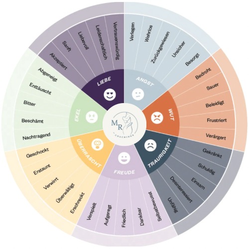 ✨ „Warum esse ich schon wieder, obwohl ich keinen Hunger habe?“
Wenn du dir diese Frage schon gestellt hast, bist du nicht allein.
Oft steckt nicht Hunger dahinter – sondern ein Gefühl. Stress, Einsamkeit, Langeweile, Traurigkeit …
👉 Genau darum geht es in der neuen Podcast-Folge: Emotionales Essen verstehen.
Ich erkläre dir, warum emotionales Essen kein Versagen ist, sondern ein Schutzmechanismus – und wie du lernen kannst, liebevoller mit dir umzugehen.
💡 Um dich direkt zu unterstützen, habe ich dir das Emotionsrad erstellt.
Es hilft dir, deine Gefühle zu benennen, statt sie mit Essen zu überdecken.
Speichere dir den Beitrag ab und nutze das Rad, wenn du merkst: „Ich will essen, aber habe eigentlich keinen Hunger.“
🎧 Hör dir die ganze Folge im Podcast Zunehmend–Abnehmend an – Link in Bio.
💬 Schreibe mir in die Kommentare:
Kennst du dieses Gefühl, zu essen obwohl du keinen Hunger hast?
#EmotionalesEssen #IntuitivesEssen #MRCacademy #Essverhaltenverstehen #Selbstmitgefühl