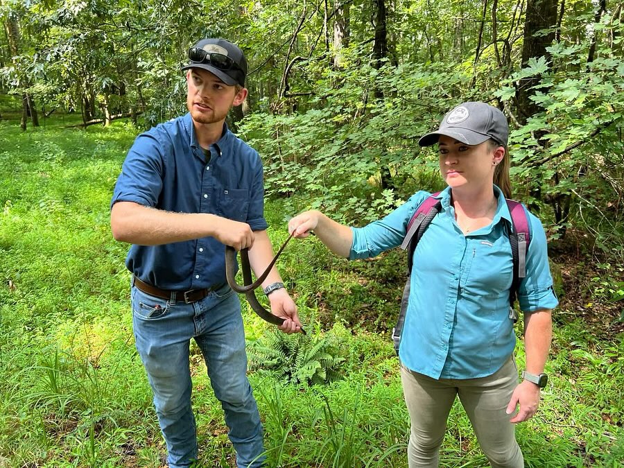 Eeeek, July’s Walk n Talk almost slithered past an Instagram post. Miranda Gulsby shared a few (snakes) that didn’t get away. A BIG THANK YOU to Miranda and her round up partner, Justin Smallwood, for sharing their passion with our participants.
