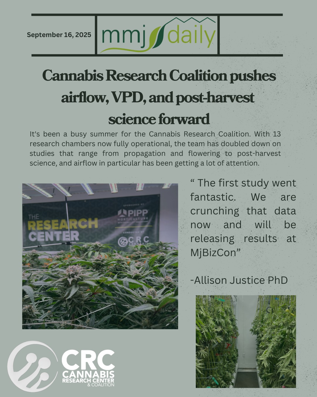 We’re honored to be featured by MMJdaily.com for our ongoing #cannabisresearch coalition efforts including the airflow trials with @pipphorticulture led by @dr.justice_grows
A sincere thank you to all our collaborators and supporting vendors on these trials.
Advancing #cultivationresearch would not be possible without strong partnerships like these, and we are grateful for the shared commitment to moving the industry forward.
We look forward to sharing more insights and results from our work soon!
LINK IN BIO TO ARTICLE!
@pipphorticulture
@cannatrol
@sollumtechnologies
@elevatedequipment
@aroya.io
@canna.matrix
@ksg50317
@gorillagrowtent
@biosgrowlights
@willowindustries
@fluence_led
@hgvnutes
@favenlighting
@plantco2manifolds
@coirgro
@growlinkcontrollers
@verticalairsolutions
@officialandenpro
@cannabisirrigationsupply
@athena.ag
@growverazone
@thehempmine
#cultivators #growers #science #vpd #airflow #postharvest #research #earnedmedia