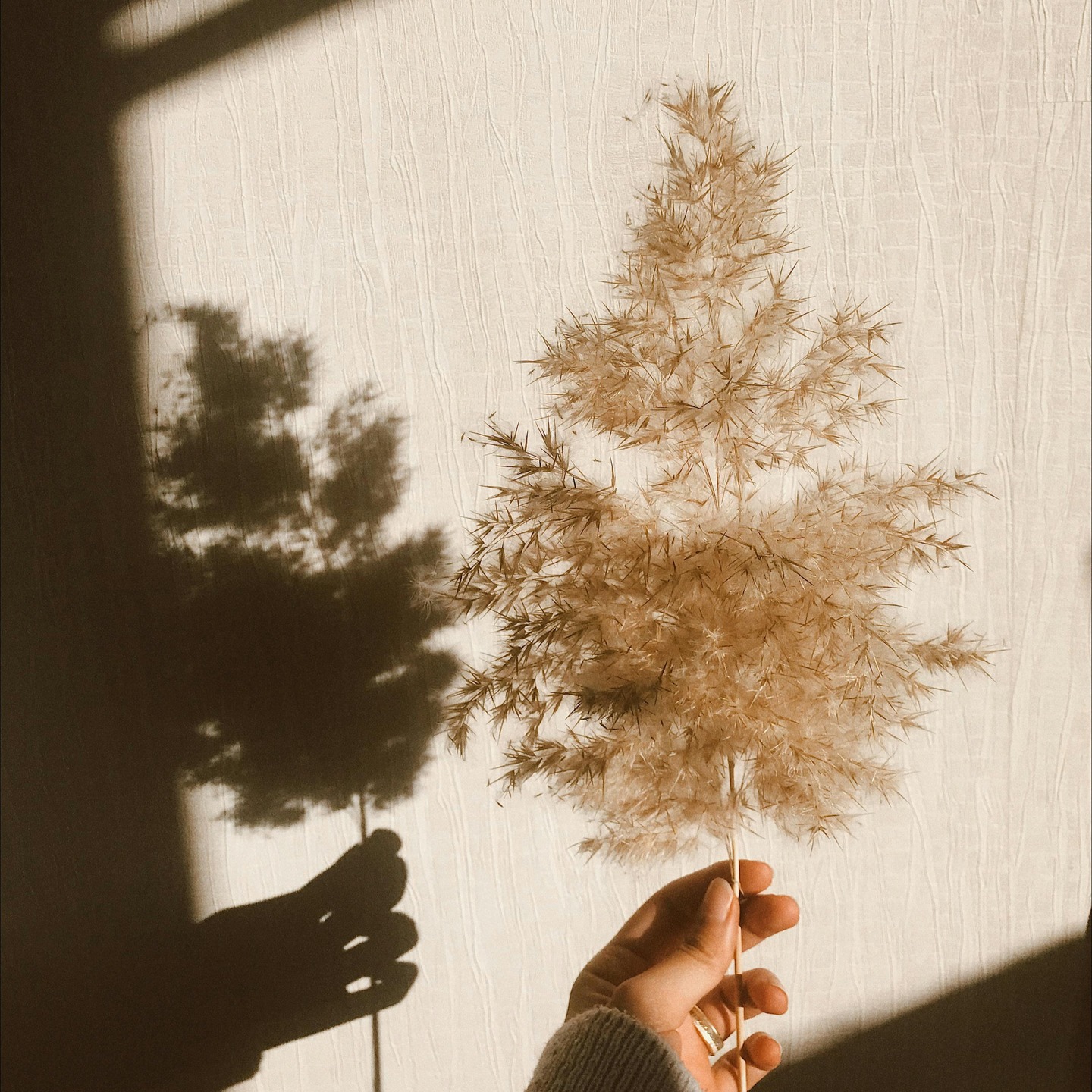 🌟 Limelcia, votre partenaire administratif en Suisse !
Nous prenons en charge vos tâches administratives, salaires et suivi RH pour que vous puissiez vous concentrer sur l’essentiel : développer votre activité.
🤝 Simplicité, fiabilité et proximité : notre engagement au quotidien.
#Limelcia #GestionAdministrative #RH #Salaires #EntrepreneursSuisse #Accompagnement