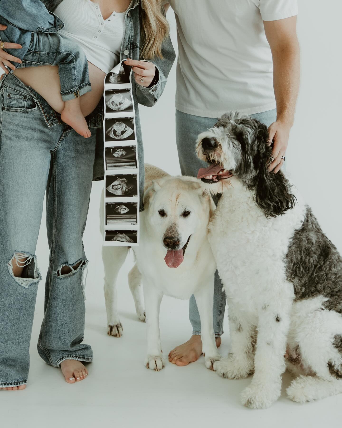 Clawson family of FIVE 🤍
Overjoyed (and a little nervous 😂) to share that Crew is going to be a big brother x2 in March! There’s so much to do and so little time, but I wanted to give you all an update as best I can. Thankfully, there are no conflicts with any scheduled weddings—I already had a break planned from January through May (during which I won’t be taking any bookings), so the timing truly worked out perfectly! I also have extra help for my last few of weddings of the year, just in case.
Looking ahead, weddings will be very limited next year and beyond. To balance family life and serving my clients well, I’ll be taking on just one wedding per month. I’ll also share an update when I’m ready to start slowly adding sessions back to my calendar—likely around June. My wedding books for 2026 are completely booked, but if you are eloping or having a micro wedding, please still feel free to reach out!
I can’t thank you enough for the love, encouragement, and support you’ve shown me over the years. Building this business alongside raising my family has been the most rewarding journey, and I feel so grateful to be surrounded by such an incredible community of couples, families, and friends who cheer me on in both life and work. Your kindness means the world to me, and I truly couldn’t do this without you 🤍
Much love to my talented friend @jleelifephotography for my favorite photos of my favorite people + pups. We don’t deserve you!