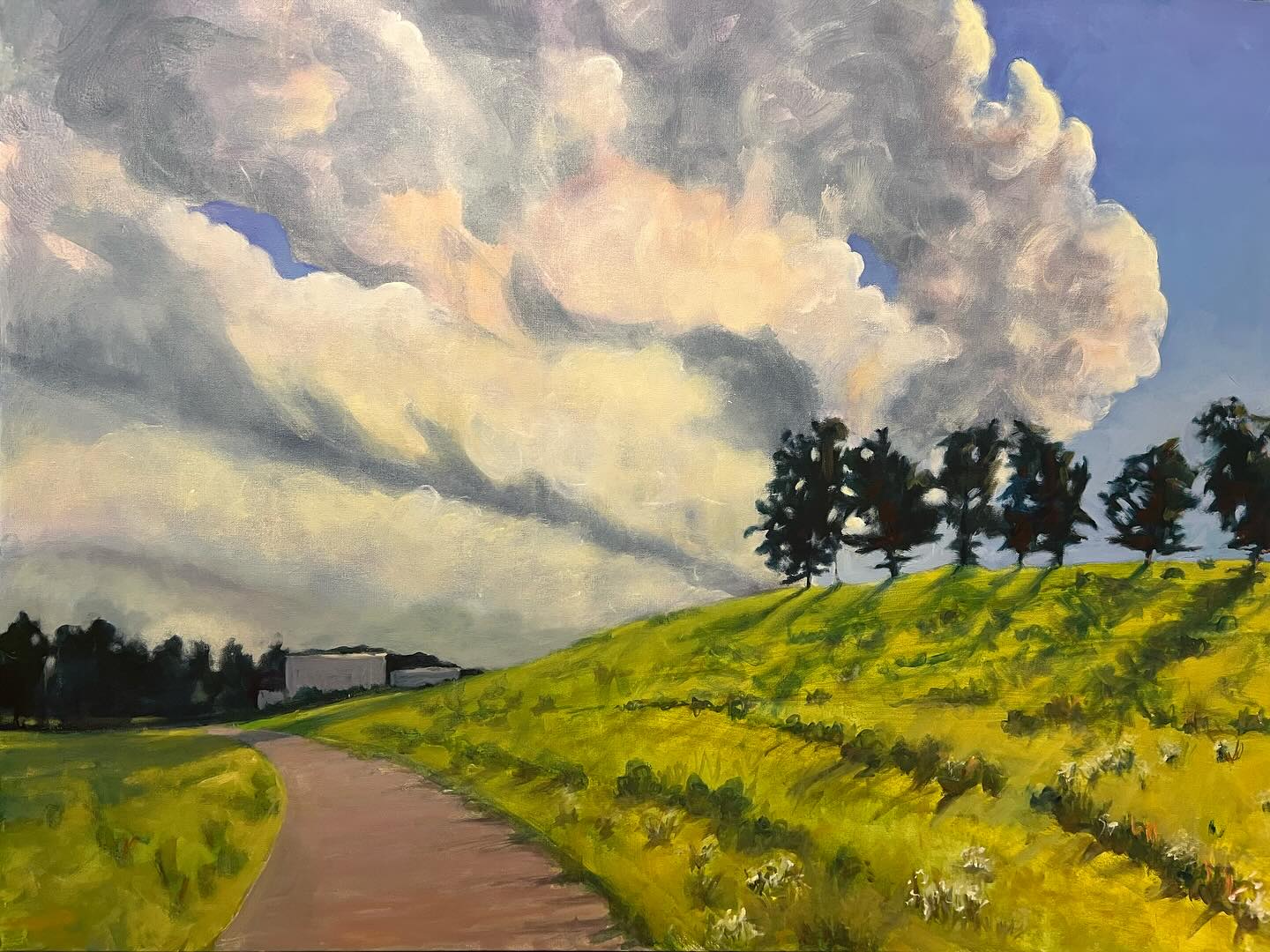 Catching the late afternoon display of brilliance, leaving Glenstone Museum.