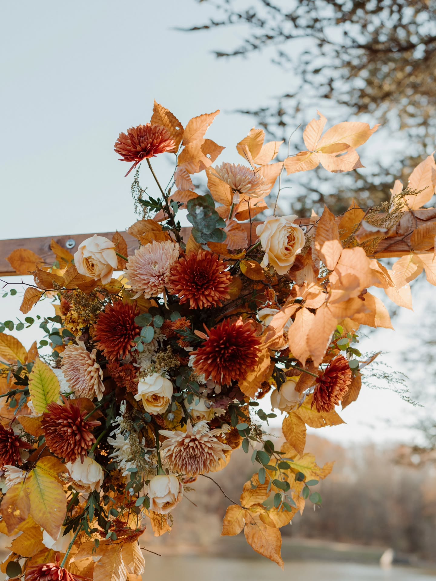 Fall florals doing their thing > pumpkin spice, don't @ us.😽🍂
.
.
.
.
.
.
.
.
.
#fallishere #fallflorals #goldenhour #goldenflowers #phillyweddings #autumnflowers #autumnvibes🍁