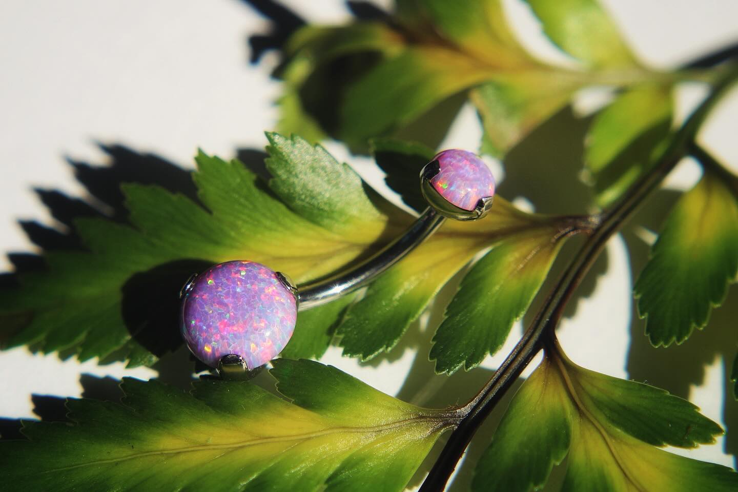 Implant grade titanium prong set navel jewelry with lavender opal ✨👌