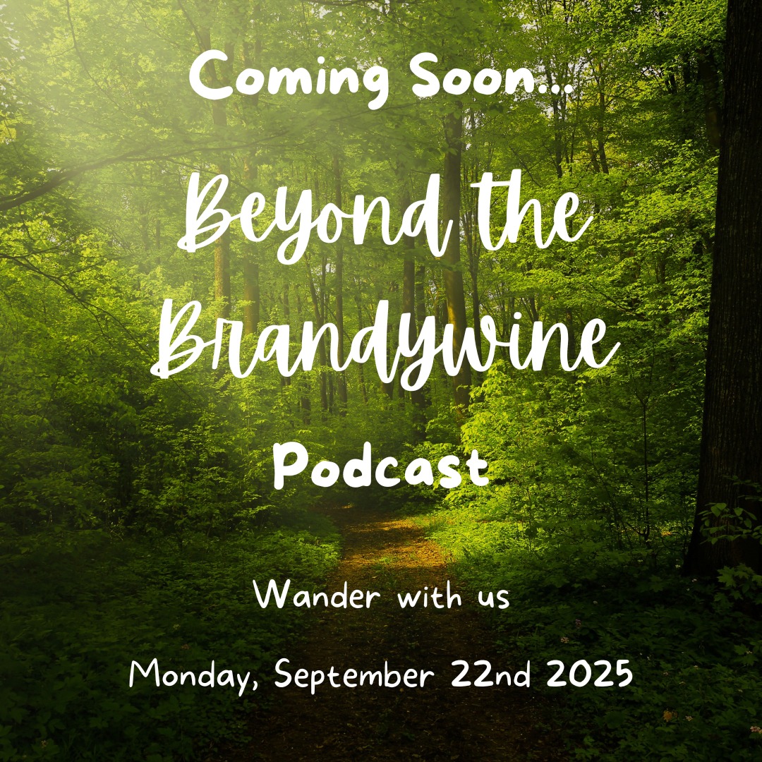 Mae Govannen fellow wanderers,
Angela and Kelsey here, two huge Lord of the Rings nerds, and we're so excited to announce the release of our new podcast, Beyond the Brandywine!
Join us Monday, September 22nd for our first episode, A Long Expected Podcast! (Which happens to be Bilbo and Frodo's birthday!)
You can listen to our podcast on Spotify, Apple Podcast, Podbean, and Youtube by searching Beyond the Brandywine.
Come check us out at www.BeyondTheBrandywine.com!
Come wander with us!