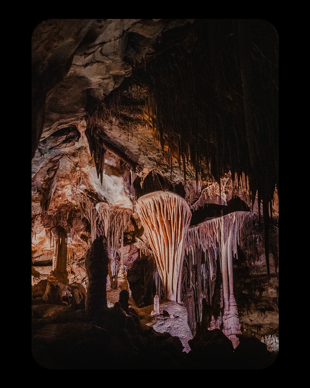 First time at Great Basin National Park — it really is in the middle of nowhere. Most of the park was closed last November, but I got to tour Lehman Caves. The guide shared that workers once stayed down there for weeks while excavating… I can’t imagine living in those tight spaces, surrounded by stalagmites and stalactites, wondering what might be lurking in the dark.
#GreatBasinNationalPark #LehmanCaves #NationalParks #NPS #CaveExploration #WanderNevada #NatureLovers #AdventureTravel #TravelGram #FindYourPark #NaturePhotography #BucketList