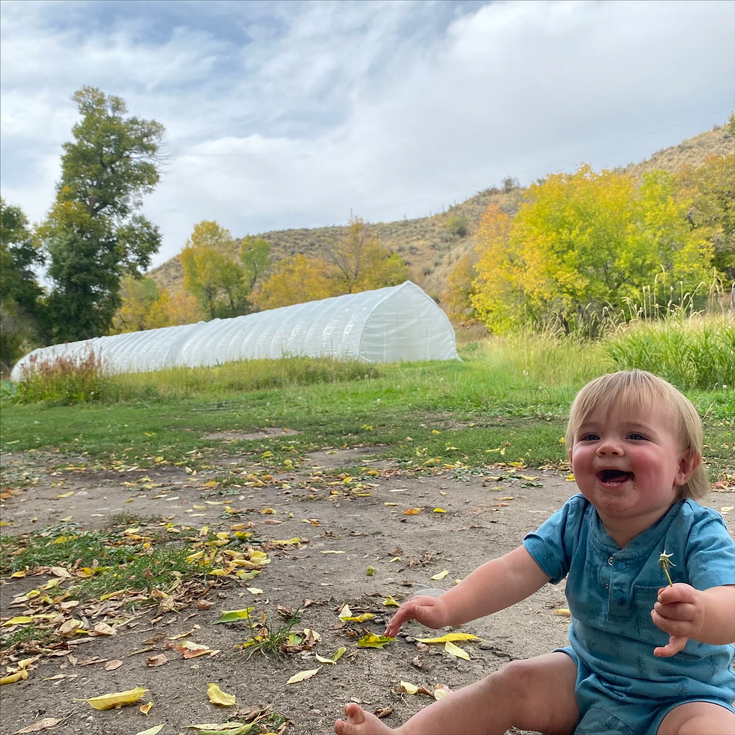 It’s been a big summer for all of us out here on the farm, and it’s bittersweet to be winding down with the *last* Steamboat Farmer’s Market of the season tomorrow @steamboatfarmersmarket 🥕! We’ll be loaded up with awesome summer and fall veggies and excited to see everyone to celebrate what a great summer it’s been. Come on by!
Our Fall CSA starts up on October 1st and we have a few shares for some last minute signups! If you’re interested all the info is on our website, grab those last shares before it’s too late 🥬