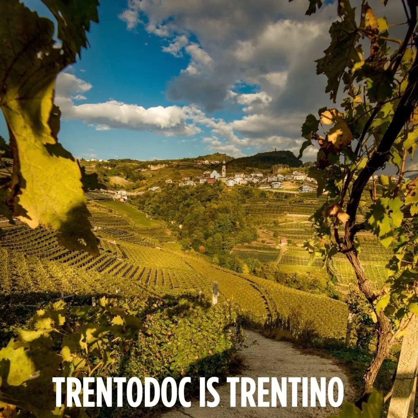 Tra i filari scolpiti nella roccia della Val di Cembra, nel cuore di Giovo, nasce l'eccellenza dei nostri @trentodoc Salísa. Un paesaggio unico dove la viticoltura eroica incontra la tradizione e regala bollicine di alta quota, frutto di dedizione, tradizione e territorio.
📸 @visittrentino
@villacorniole_winery
@salisa_trentodoc
@trentodoc
@visitvaldicembra
@visitfiemme
@trentinoandwine
#villacorniole #Salísa #trentodoc #winestagram #viticolturaeroica #metodoclassico #spumante #bollicinetaliane #winelovers🍷 #sparklingwine #winetasting #viticolturaeroica #winetime #dolovinimiti #Cembra #visitrentino #paesaggivitivinicoli #giovo #festadelluva #wineloversitaly #slowwine