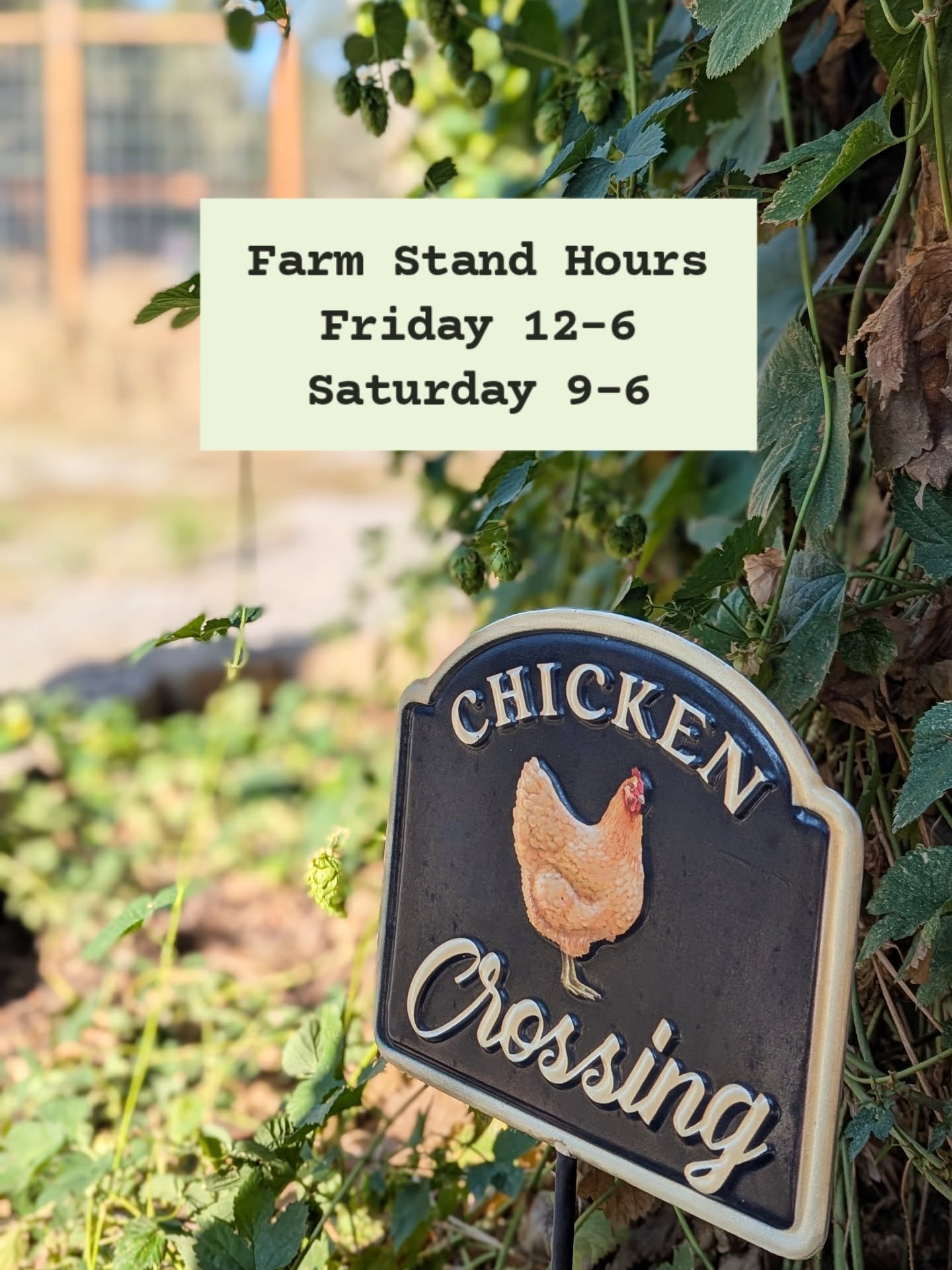 Local tastes better š¾ Come grab your fresh flour & eggs this weekend!
Our self-serve farm stand is open Friday 12-6 & Saturday 9-6.
25415 N Ramsey Rd, Athol, ID 83801
We accept cash, check, or Venmo
Cheers to a beautiful weekend!