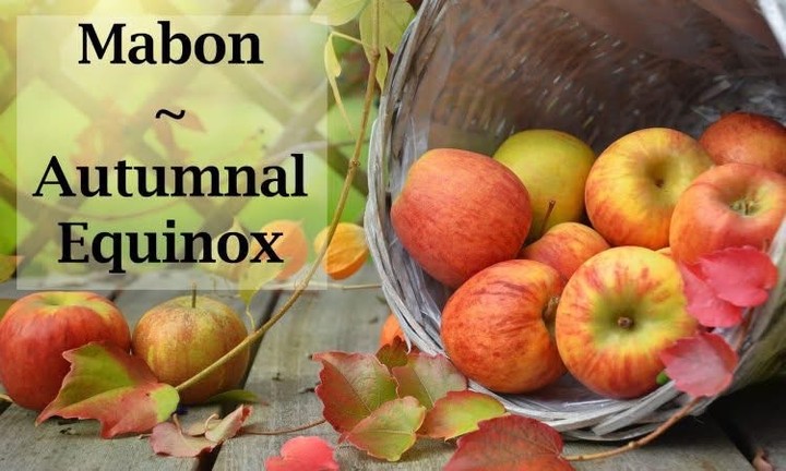 Celebrate the vibrant spirit of the Mabon / Autumnal Equinox with us! 🌅✨ On September 25th, explore the treasures of balance and transformation during this FREE, enriching ritual led by HPS Granny Goth Rauncie and HPS Shelly (The Temperamental Goddess), at Mythic Treasures (1225 Jefferson Rd.) in Rochester, NY. 🍂Step into the harmony of the season and awaken your inner truths. Don’t miss out—mark your calendar and join us for this profound experience! #Mabon #FallEquinox #SelfDiscovery #PersonalTransformation #Ritual #Witch #ROCWitch #DaughterOfGaiaNaos #TemperamentalGoddess #AstrologyPriestess #MythicTreasuresROC #WitchyThingsToDoInROC