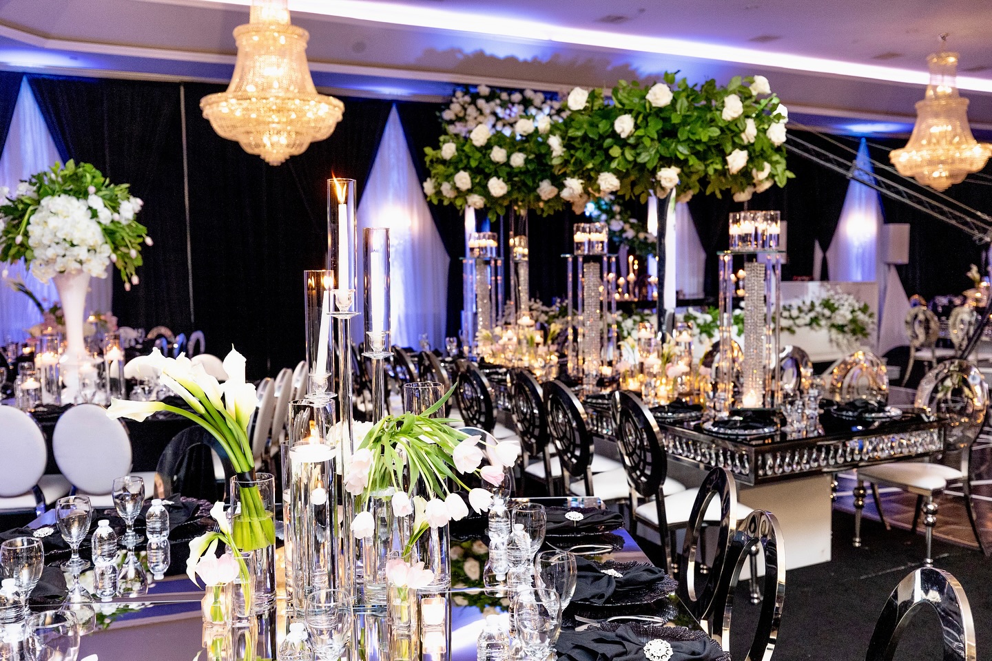 Immerse yourself in the art of luxury event design with @toriwilliamsevents. Swipe to explore!
#toriwilliams #toriwilliamsevents #luxuryevents #luxuryeventdesign #luxurydecor #eventproducer