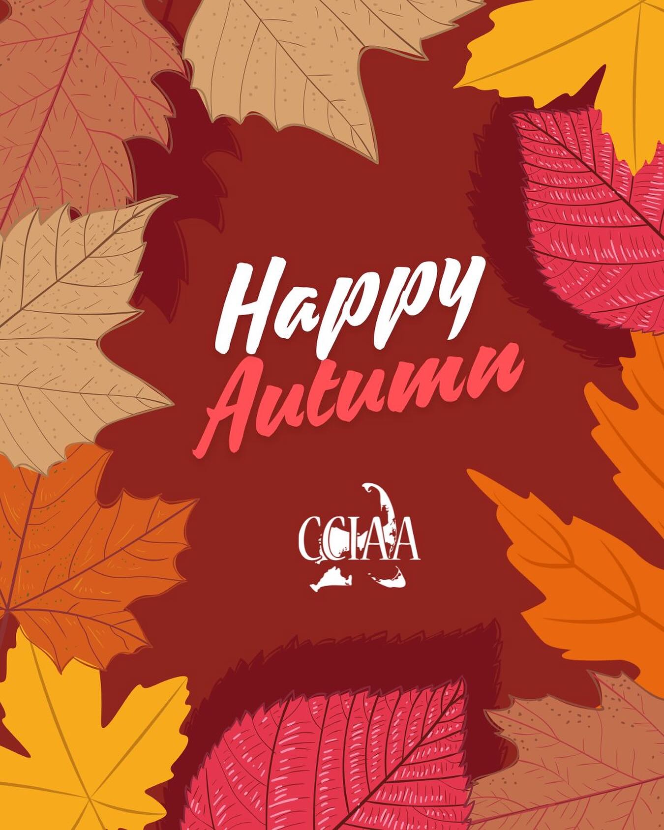 Happy Fall, Agents!
The air is getting crisp, the sweaters are out, and that perfect fall feeling is officially here. 🍂 This season, let’s make it a mission to not only enjoy the cozy vibes but also to help our clients feel that same sense of comfort and security. Your expertise brings peace of mind, and that’s a fall feeling that can’t be beat.
#FallVibes #AgentLife #InsuranceCommunity #CozySeason #InsuranceAgents #PeaceOfMind #Fall #capecod #massachussets