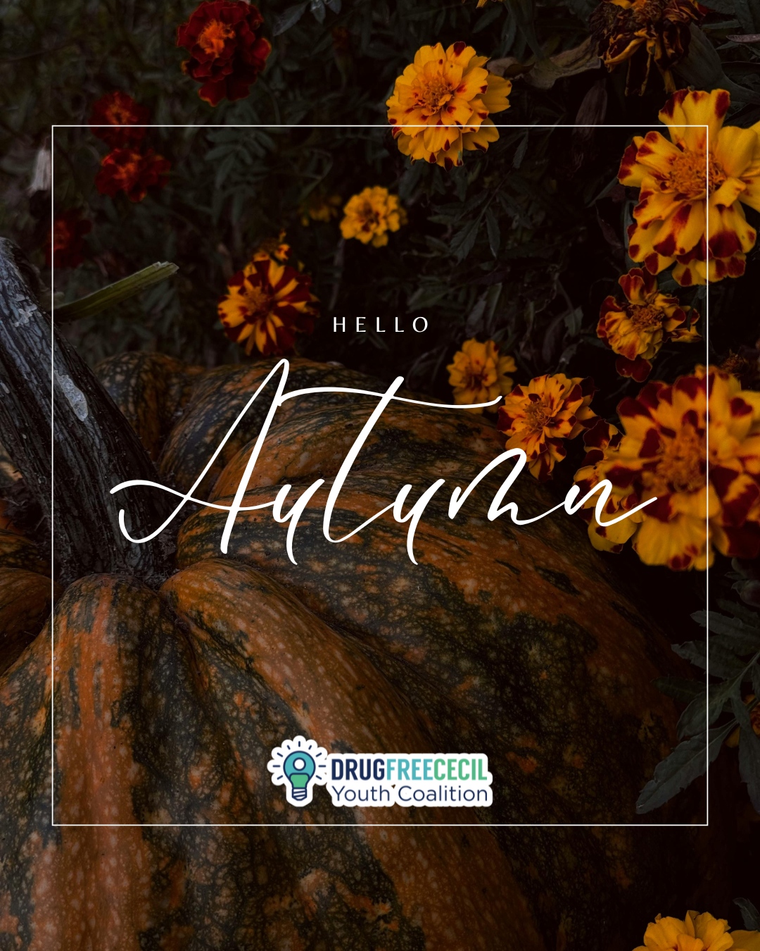 Happy First Day of Fall! š
#BeDrugFree #StayCleanStayStrong #LiveDrugFree #HealthyChoicesHealthyLife #YouthAgainstDrugs #EmpoweredToBeDrugFree #DreamBigStayClean #SmartChoicesSmartFuture #FutureFocused #StrongAndSober#BeTheExample