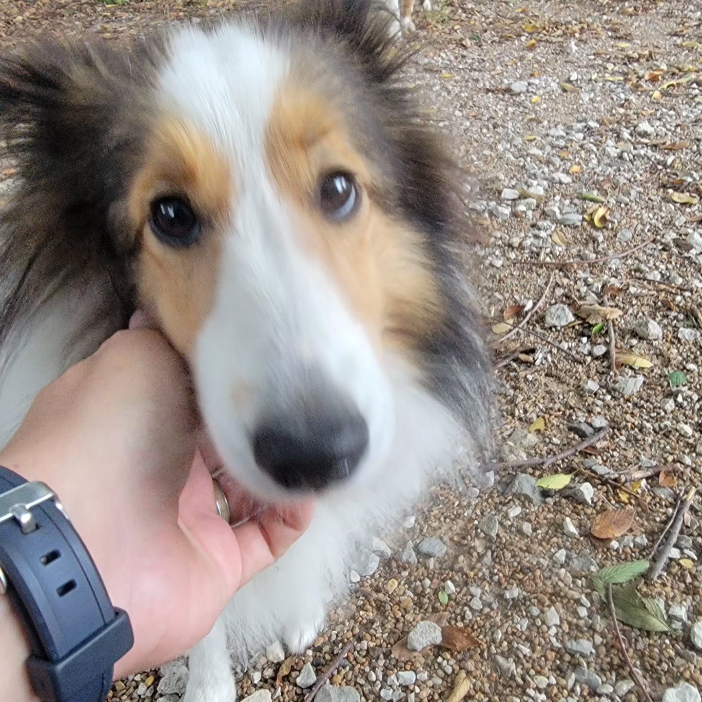 Sweet baby, Miss Lady.