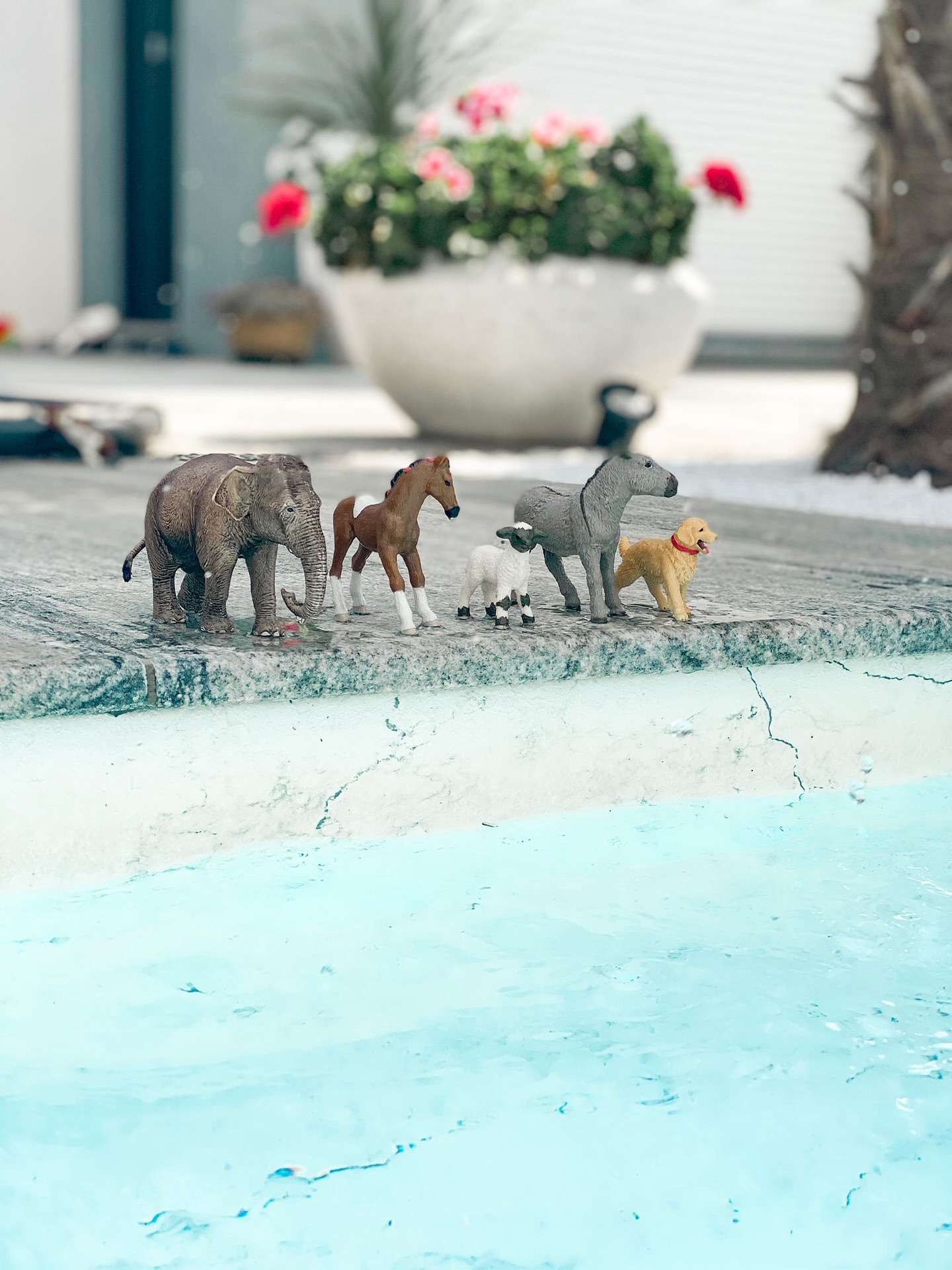Poolfolie ALKORPLAN TOUCH Vanity – Rutschhemmend & elegant 🤍
Mit Struktur wie Marmor, mit Grip für sicheren Halt.
Wenn Design & Sicherheit zusammenkommen…
gefällt auch unseren kleinen Besuchern