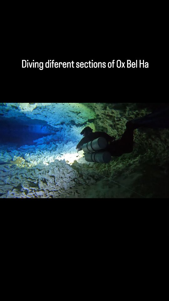 Want to dive places like this? Get in touch for details regarding training or guiding options.
#padi #sdi #tdi #bigblue #ssi #shearwater #cavediving #technicaldiving
@shearwater @paditravel @tdidivers @ssi_international ternational @bsacdivers #cavediver