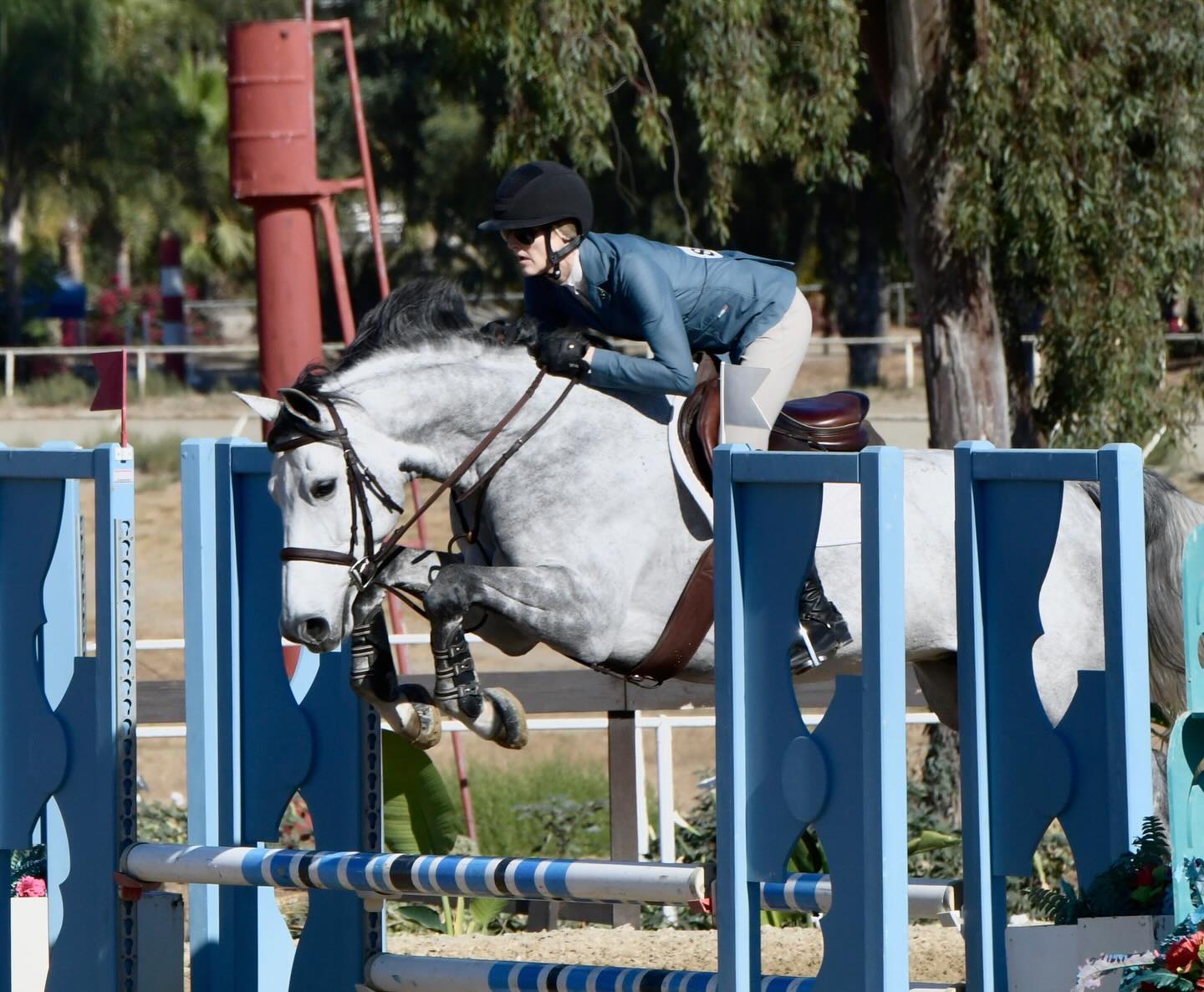 Looking for a young horse with potential as a hunter and jumper? Smirnoff Ice aka Squishy 😍 is available. Affordably priced for the right person who wants a fun project.
Please contact Jeni at 805 551 5283 for more details. Thanks 😊