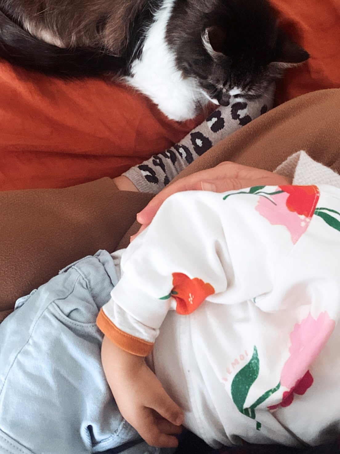 • NOUS TROIS •
C’est pas tous les jours facile, Champa vieillit, demande beaucoup d’attention, Antoine n’est pas toujours doux avec elle, même si je sais combien il l’aime…
Dès qu’on arrive à la maison, il appelle « Taaaammmpa » et court la chercher pour lui chanter « Câlin calinou » en s’allongeant sur elle…
Elle, elle essaie de s’échapper de ce qui lui semble être plutôt une prise de judo.
Parfois c’est tout doux, elle ronronne fort, il lui fait des bisous (baveux) et elle se love contre lui…
C’est dans ces moments là que je me chéris encore plus le trésor que cette petite famille représente.
Je vous aime ❤️
Merci de partager vos vies avec la mienne.
Ps : ce petit pull @emoi_emoi assorti à mon pantalon, je l’adore toujours autant ! 🌸