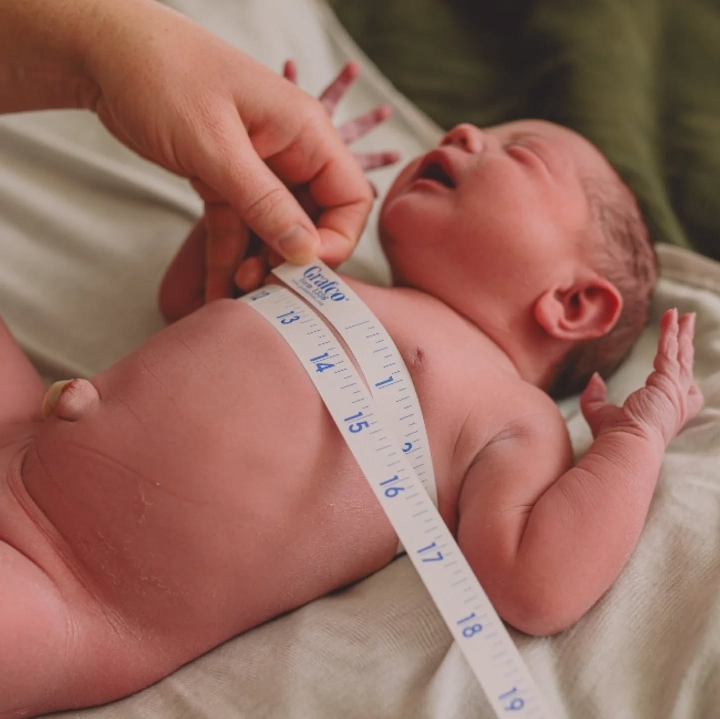 Witnessing a baby’s first measurements is a quiet, beautiful moment. It's also the start of a lifetime of growth, love, and memories. These little details are fleeting, and so worth remembering.
#arizonahomebirth #arizonabirthphotography #phoenixbirthphotographer #westvalleybirth #newbornmeasurements #BirthPhotography #AZBirthPhotographer #westvalleybirthphotographer #newborndetails #handsthatcare #HomeBirth #birthstory #fourthtrimester