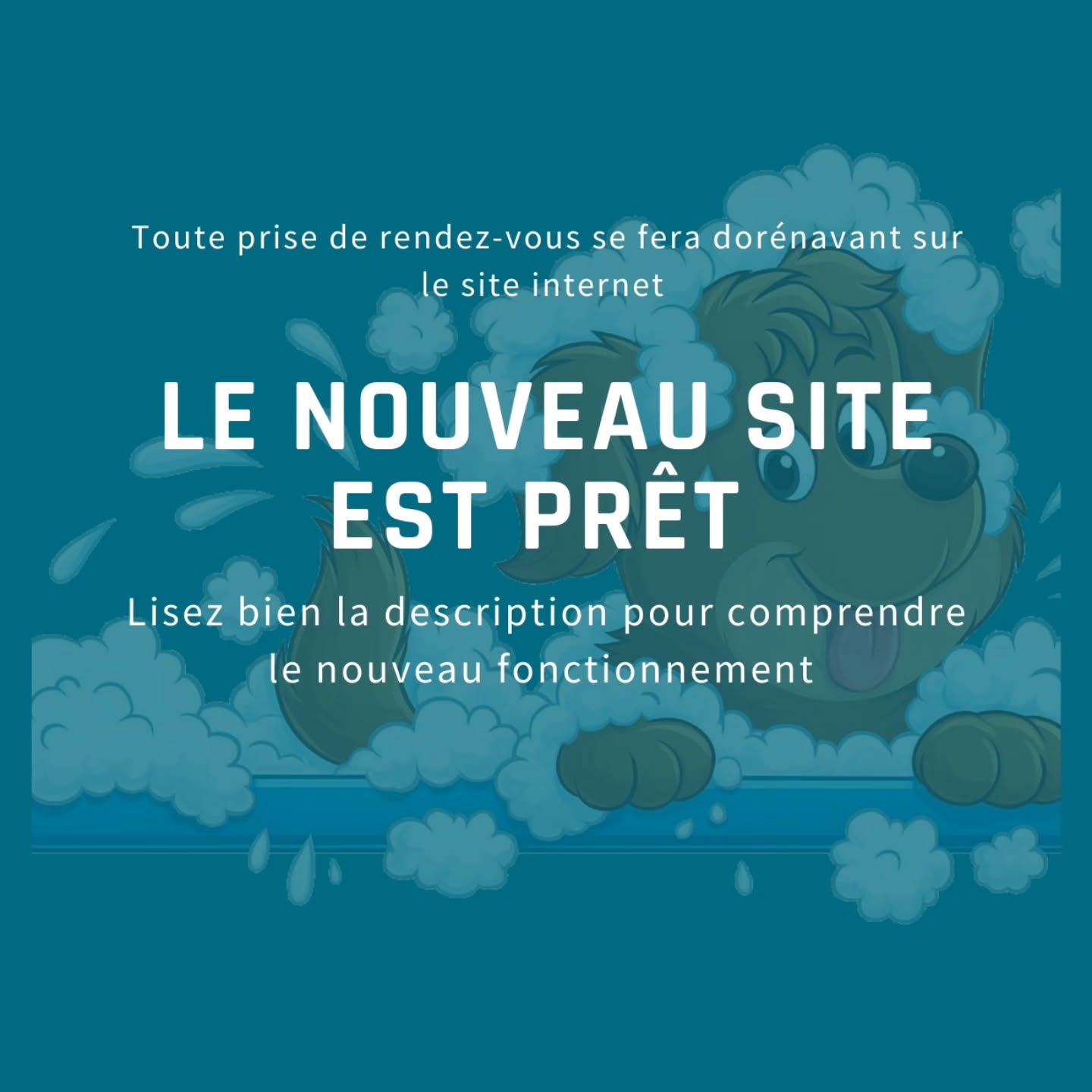 🎉 Le site est enfin en ligne ! 🎉
Dans la section Services, vous trouverez 4 catégories de tailles de chien.
Cliquez sur « Lire plus » pour découvrir dans quelle catégorie se situe votre compagnon.
Une fois la taille de votre chien sélectionnée, 3 formules de toilettage s’offrent à vous :
Toilettage Basic
Last Minute
Toilettage Express
Besoin d’aide pour choisir la formule idéale ?
Consultez également la page « Lire plus » pour des détails complets sur chaque service.
#toilletagecanin #toilettagechien #toilettage #toilettagechat #toilettagecanin