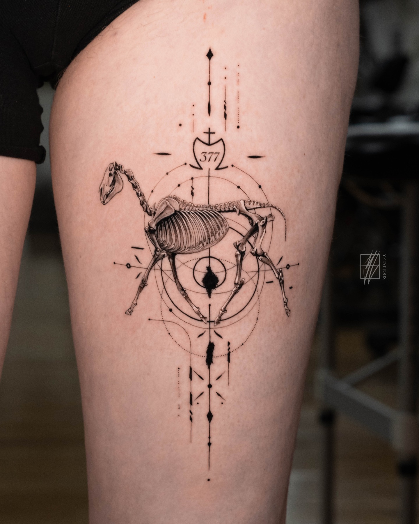 In the silent architecture of bones and lines, dedication moves with each step. 🐎
It was an absolute pleasure bringing this design to life—from the precise details to the delicate nature of the subject. Thank you so much for trusting me with your first tattoo, and I’m thrilled to know my work gets to travel with you. Hope you’re enjoying your time back home!
If you’re interested in starting your own project, feel free to reach out! I currently have slots available in the coming months and would love to hear all your ideas.
Inquiries are handled via email, and more info can be found through the link in my bio.
PETER / YPTATTOOS
#freshtattoo #microtattoo #animaltattoo #finelinetattoo #geometrictattoo #lamanigancetoronto #torontotattoo