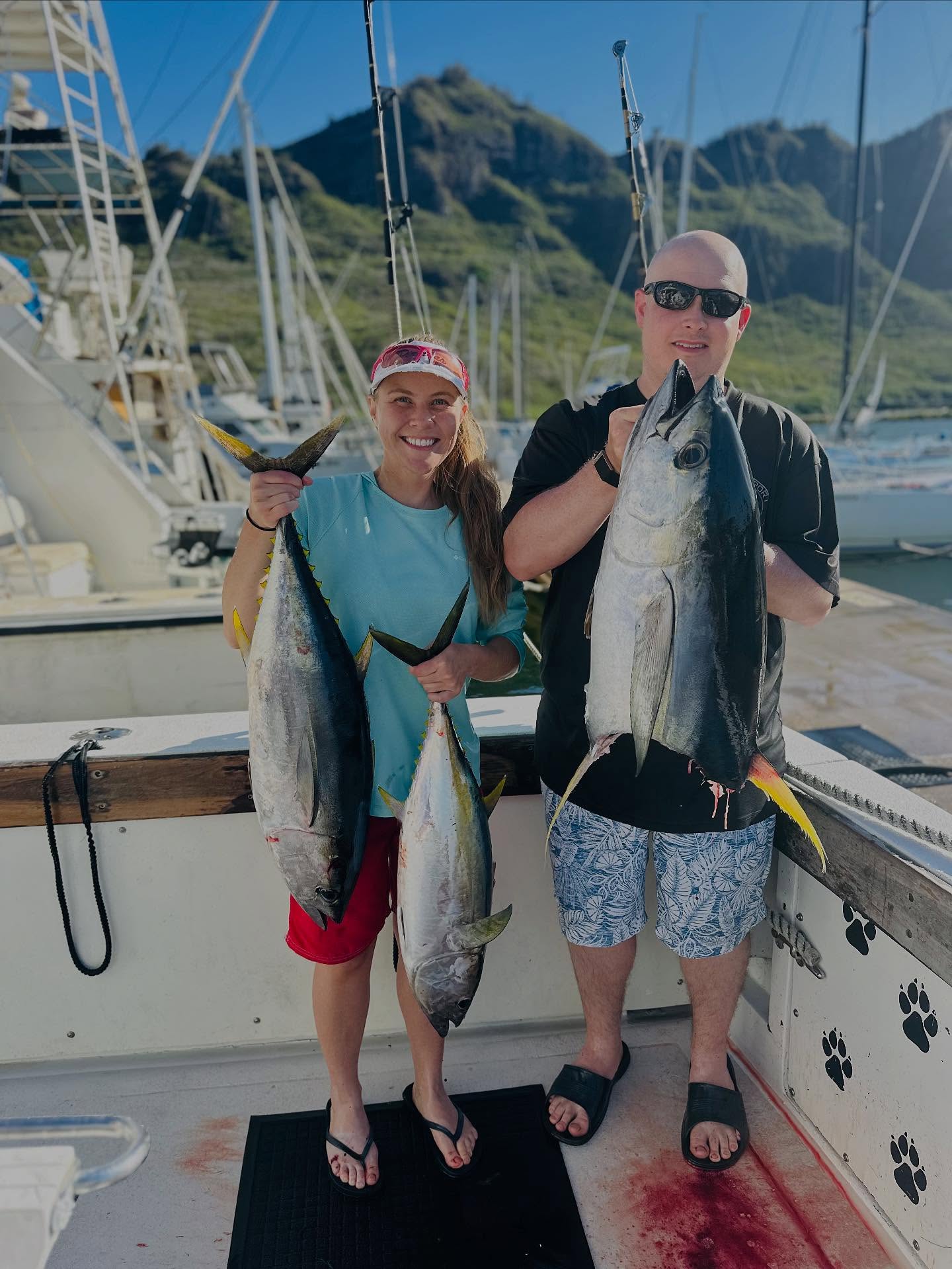 Don’t mess with Texas 🤠 We had a tough couple aboard today, but the tax man showed up and helped himself to a few hors d’oeuvres off our catch. 🦈 Even so, we still brought back some quality sushi 🍣 out of the deal!
.
.
.
Call to make your dreams of catching fish in Hawaii, Kauai come true 🎣
📞 +1 (808) 652-4556
🌐 www.gofishkauai.com
.
.
.
#GoFishKauai #KauaiFishing #DeepSeaFishing #SportFishing #HawaiiFishing #FishingLife #OceanAdventures #CatchOfTheDay #KauaiCharters #Ahi #Ono #MahiMahi #BlueMarlin #YellowfinTuna #Sashimi #SeaToTable #BucketListFishing #OffshoreFishing #FishingDaily #LifeOnTheWater
⸻