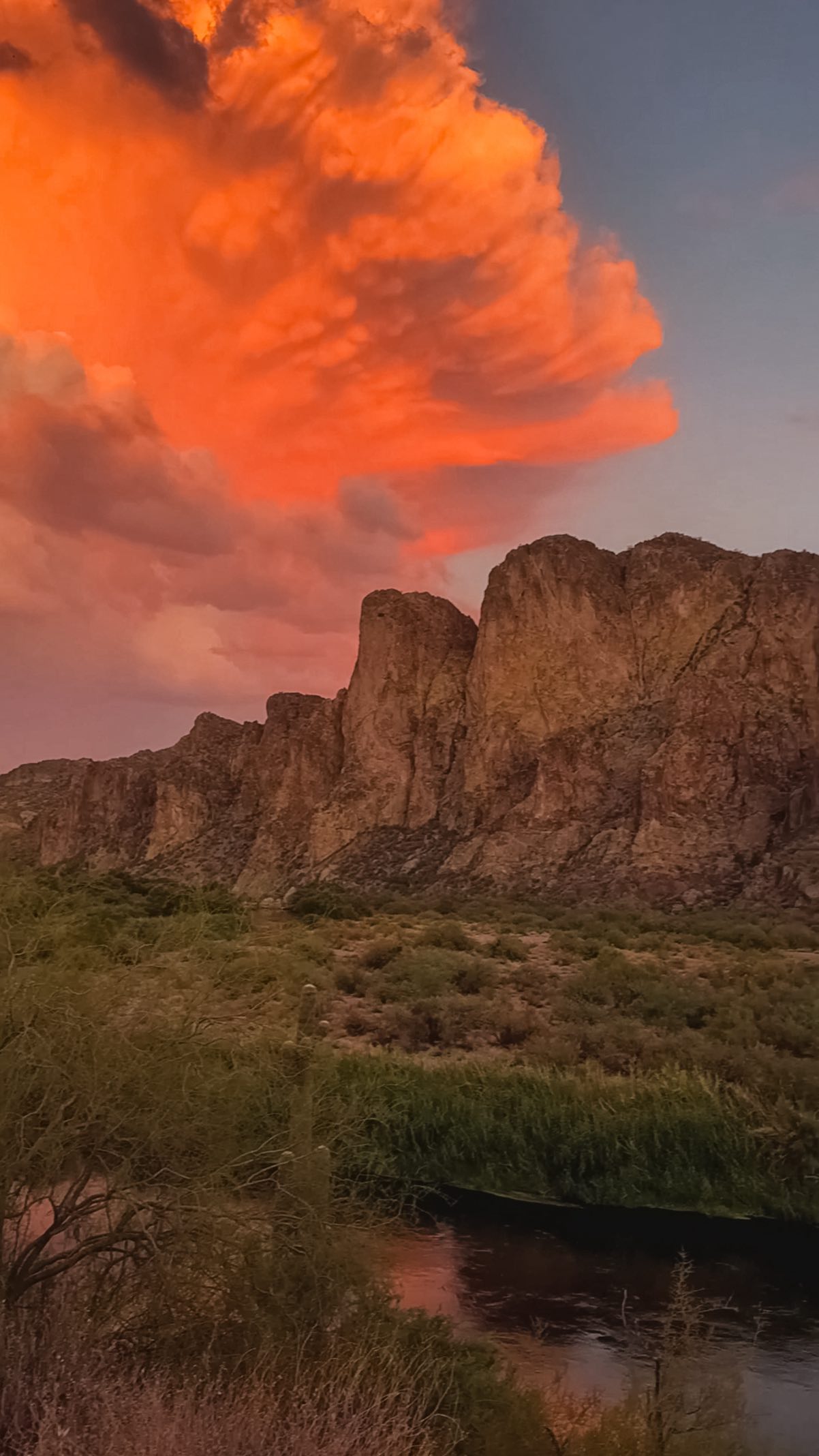 Storm clouds gathered. ⛈️
Beauty still took flight.
The birds soaring way up high in the storm reminded me to rise above it all.
This was the view during a portrait session with my client last night. She shared that her grandma who passed on sends her signs like this and I shared my dad who passed away last year does the same. 🥹💛
Sharing these experiences with my clients is something special. I love what I do. 📸
Who saw this crazy storm to the East last night?? There were bolts inside of it too. Blew our minds!
#riseabove #stormysunset #sunset #sunsetoftheday #sunsetloversgram #stormchaser #stormchasing #iloveaz #arizonasunset #arizonaphotographer