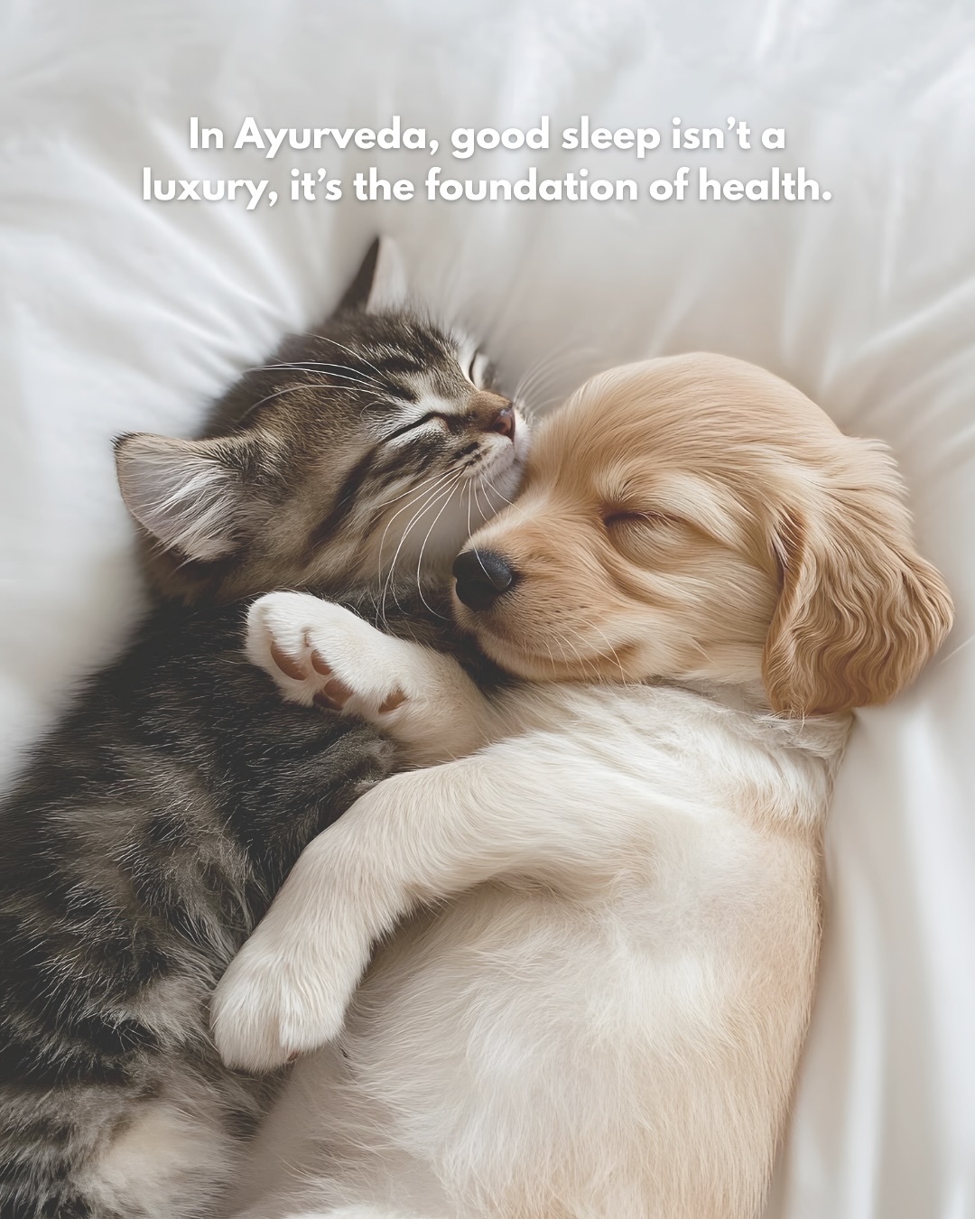 🌙 In Ayurveda, sleep (nidra) is one of the three pillars of health — along with food and balanced energy. When your sleep is sound, your body repairs, your mind resets, and your energy is restored.
But so many modern habits disrupt this vital rhythm:
🍴 Eating heavy or late at night
💡 Exposure to bright lights and screens before bed
⚡ Too much stimulation or stress in the evening
🏃♀️ Exercising too late in the day
☕ Excess caffeine or stimulants
Ayurveda reminds us that deep, restful sleep isn’t just about more hours in bed, it’s about living in sync with nature’s rhythms. Small changes in your daily routine can transform the way you rest, and how you feel when you rise. 🌿