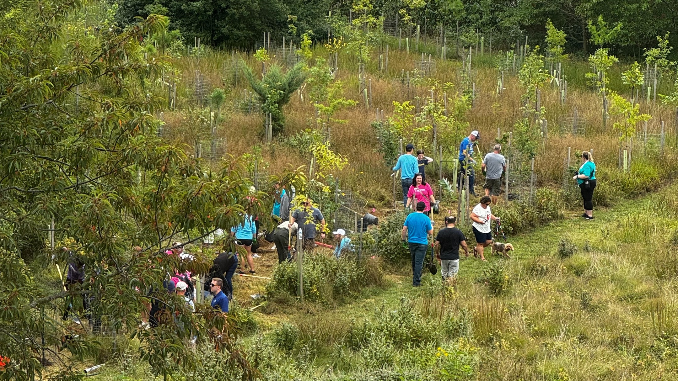 Yesterday we held our 5th Annual Plant Your Promise. Students, community leaders, partners, and families all came together to plant trees at Elk Neck State Park near the Turkey Point Lighthouse in honor of our communities commitment to staying illegal substance free for the next year.
Thank you to everyone who came out and made this event possible! We appreciate your support and participation!
#drugfree #soberyouth #drugfreececil #dfcyc #cecilcountymd #dfc #northeastmd
