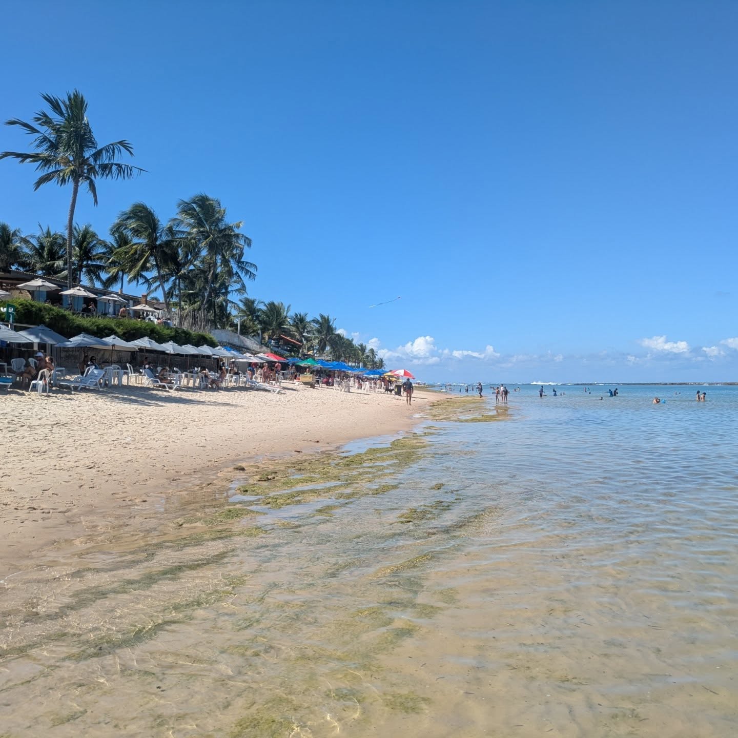 Northeast Brazil ❤️🌴🥥🇧🇷