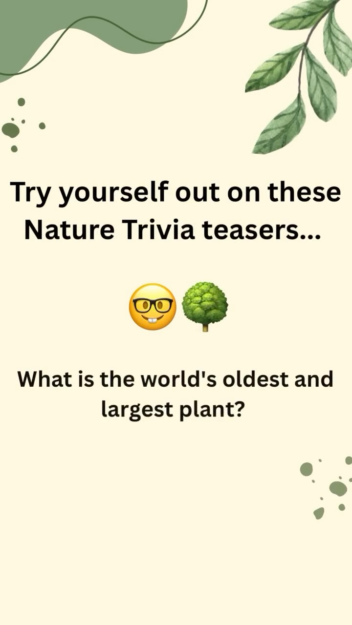 Get your tickets at https://events.humanitix.com/nature-trivia-2025