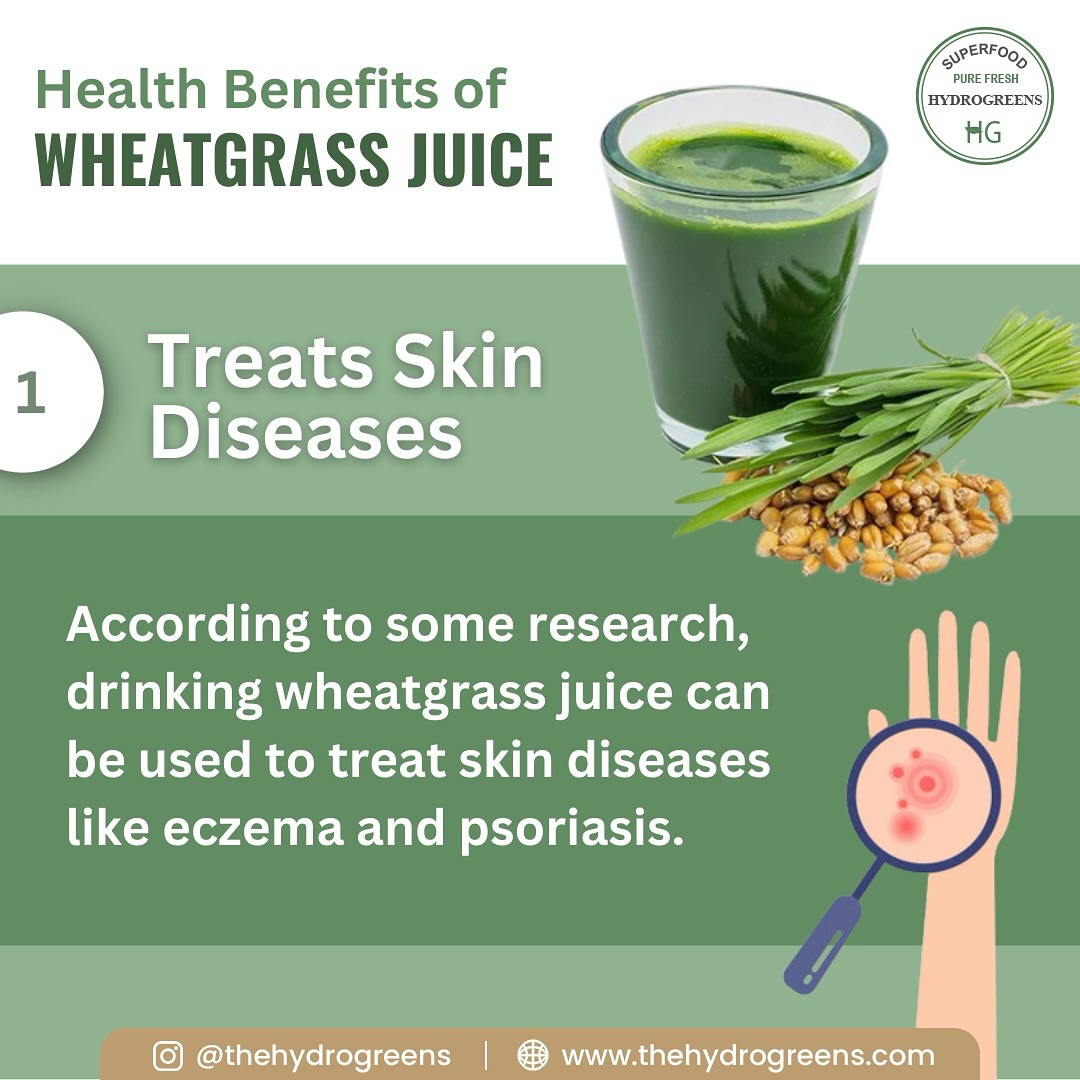 Plant-based superfood capsules-easy to consume, easy to store.
#wheatgrasscapsules #chlorophyllcapsules #naturalhealing #guthealthsupport #skinglownaturally #immunitybooster #hormonalbalance #vegansupplements #holisticliving #healthyhabits #detoxjuice
#WheatgrassJuice #DetoxNaturally #GreenCapsuleGlow #GutHealth #thehydrogreens #WheatgrassBenefits #skinfromwithin #PlantBasedWellness #VeganCapsules #naturalhealing
FOR MORE INFO. LINK IN BIO.