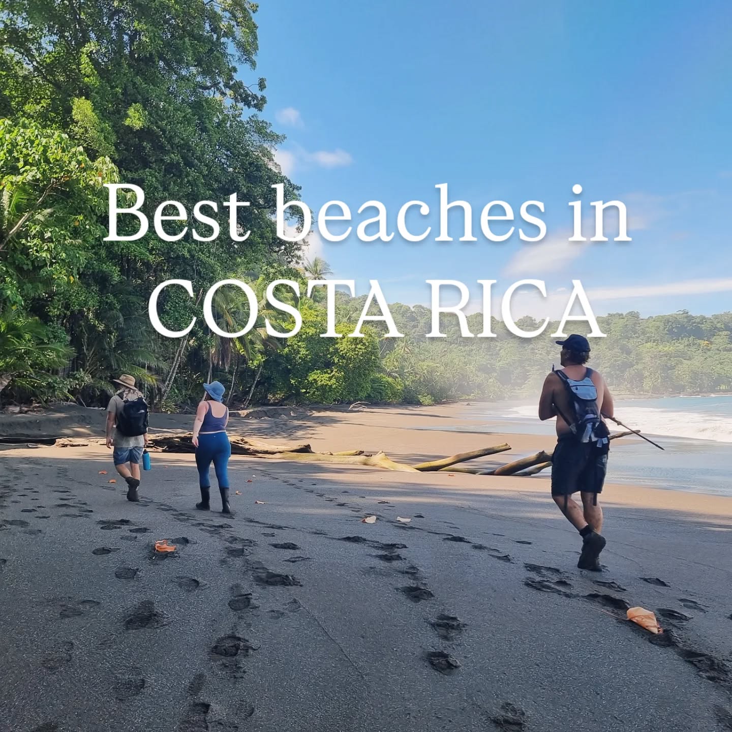 Why are our secluded Beaches the best in Costa Rica?
They're boat access only, in other words, not accesibles to the general public. You won't have to worry about turning your head on your belongings on our beaches. You'll likely be welcome by scarlet macaws flying over your head or a tapir strolling across the beach! Each of our 3 beaches are unique. One has a swing, another has a waterfall and sea caves. You can see Cano Island from all of them and often you'll see a breaching humpback whale!
#Costarica #costaricatravel #costaricaexperts #costaricacool #Corcovado #travelcostarica