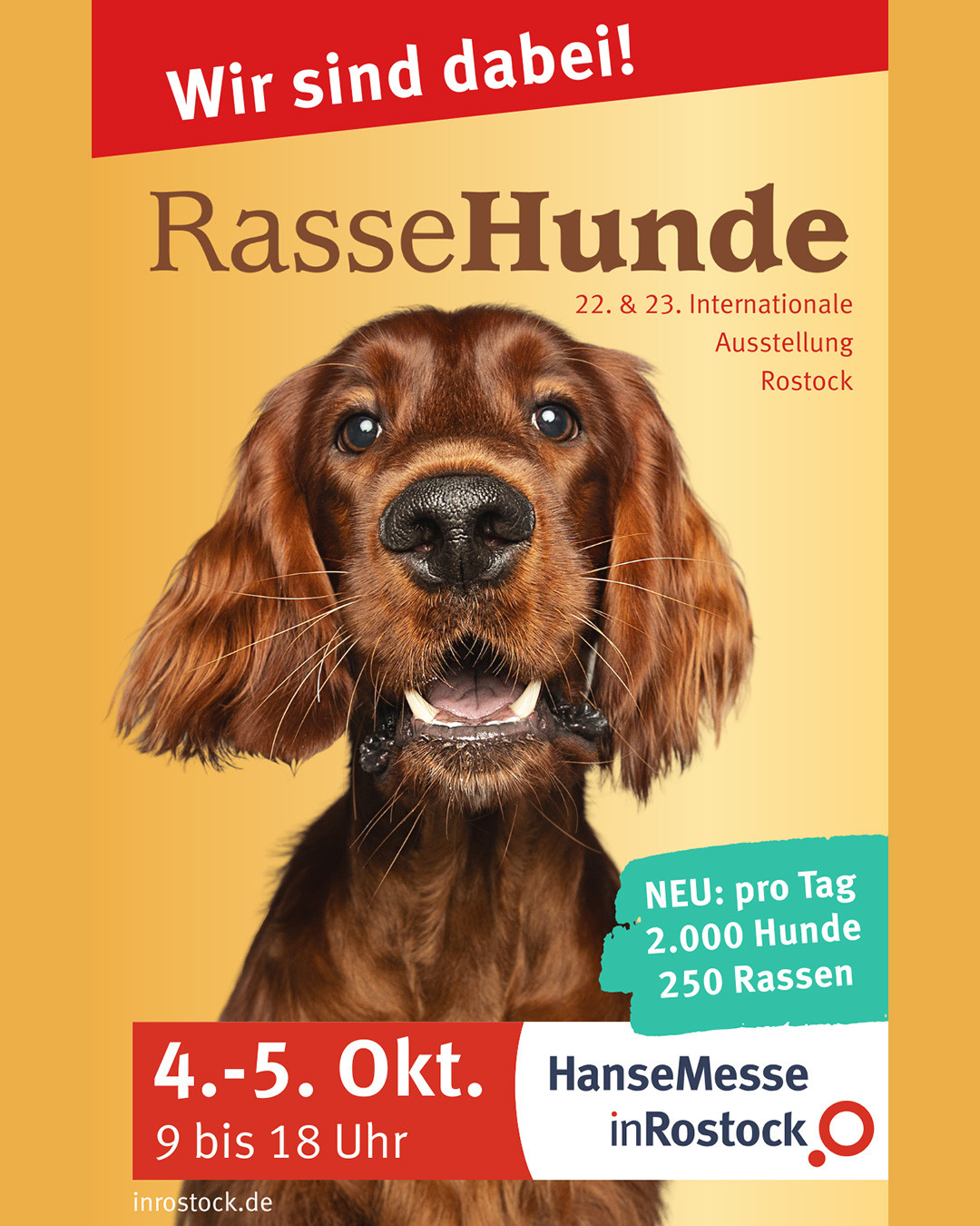 𝗕𝗲𝘀𝘂𝗰𝗵𝘁 𝘂𝗻𝘀 𝗸𝗼𝗺𝗺𝗲𝗻𝗱𝗲𝘀 𝗪𝗼𝗰𝗵𝗲𝗻𝗲𝗻𝗱𝗲 𝗮𝘂𝗳 𝗱𝗲𝗿 𝗥𝗮𝘀𝘀𝗲𝗛𝘂𝗻𝗱𝗲 𝗠𝗲𝘀𝘀𝗲 𝗶𝗻 𝗥𝗼𝘀𝘁𝗼𝗰𝗸!
Die größte Hundemesse im Nordosten Deutschlands – die HanseMesse wird einmal im Jahr zum Mekka für alle Hundefans. Über 3.200 Rassehunde treten hier seit 2004 an, um den begehrten Titel „Best in Show“ zu ergattern. Und bei den über 70 Messeständen warten viele außergewöhnliche Produkte und professionelle Dienstleistungen auf euch.
Wir haben wieder fast alles Tau eingepackt, vor allem über 100 Leinen – da ist für jeden was dabei! Schnappt euch das Tau zu besonderen Messepreisen und Sondermodelle, die es nicht im Online-Shop gibt!
Wir beraten gern und fertigen wie immer live vor Ort das passende Halsband zur neuen Tauleine ⚓
👉 Hundeimpfpass nicht vergessen (gültige Tollwutimpfung)!
Wir freuen uns auf euren Besuch – bis bald @hansemesserostock
#rassehunderostock #hundemesse #hansemesse #rostock #hundeinrostock #rostockerhunde #strandhund #küstenhund #ostseehund #mithundammeer #handmadefordogs #hundeleine #tauleine #segeltauleine #tauliebe #tauleinedesign #tauleinenmanufaktur #allesaustau