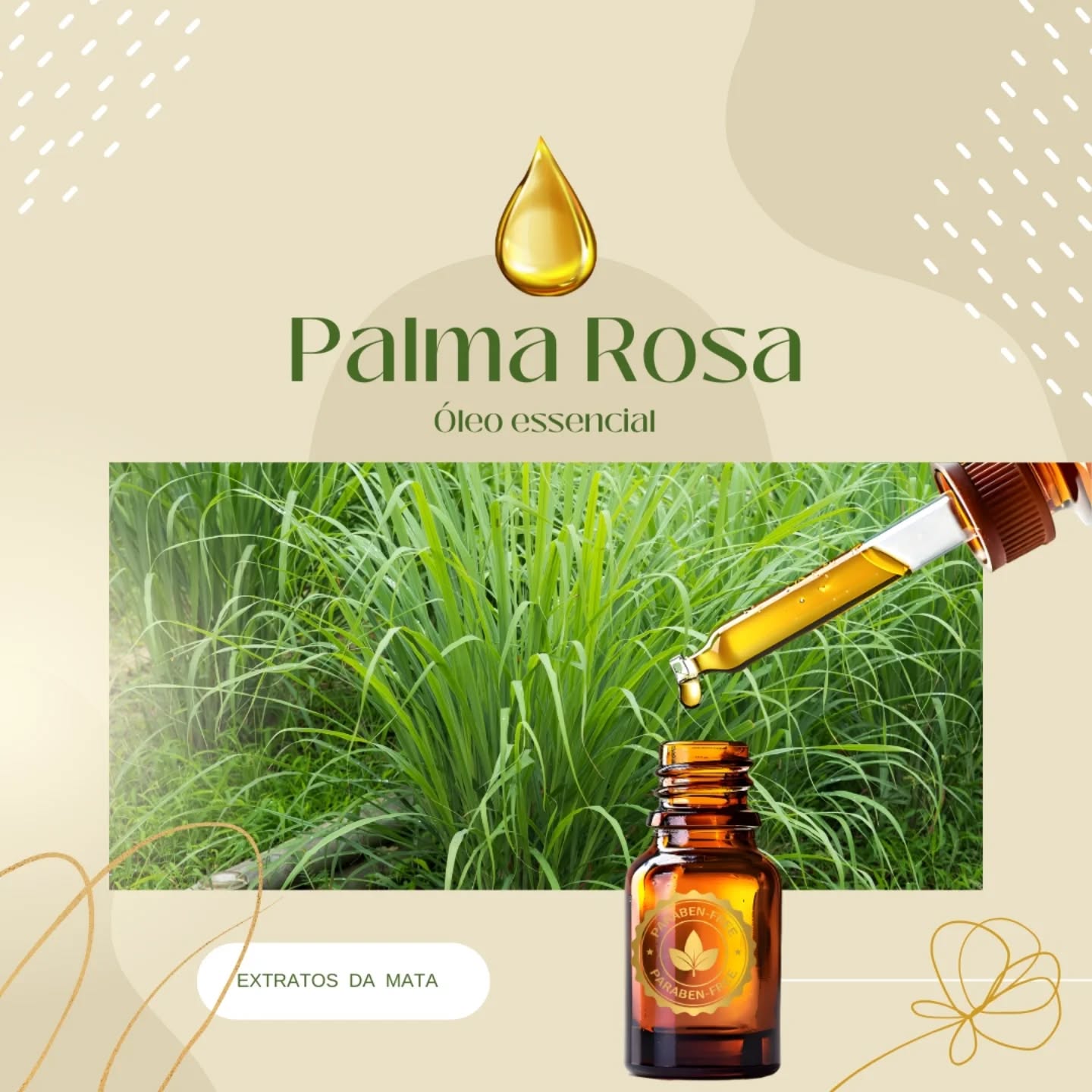 O óleo essencial Palmarosa é extraído da planta Cymbopogon martinii, uma gramínea aromática da família do capim-limão e da citronela, nativa do sudeste da Ásia. Também conhecida como Palmarosa ou "Gerânio da Índia", a planta é cultivada para a obtenção deste óleo, que é extraído por meio da destilação a vapor das suas folhas.
Usos e Propriedades:
🍃 Cuidados com a Pele: O óleo é reconhecido por suas propriedades regeneradoras e hidratantes, sendo benéfico para peles secas, maduras, desidratadas ou flácidas.
🧠 Bem-Estar Emocional: Na aromaterapia, é utilizado para acalmar emoções, aliviar tensões, aumentar a autoestima e promover um sentimento de equilíbrio e serenidade.
🧫 Ação Antisséptica e Antimicrobiana: O óleo de palmarosa possui propriedades antissépticas suaves, que ajudam na cicatrização e na saúde da pele.
💆🏼♀️💆♂️Cuidados com o cabelo: Quando aplicado ao couro cabeludo e aos cabelos, ajuda a reter a umidade, prevenindo o ressecamento e o frizz.
#extratosdamata