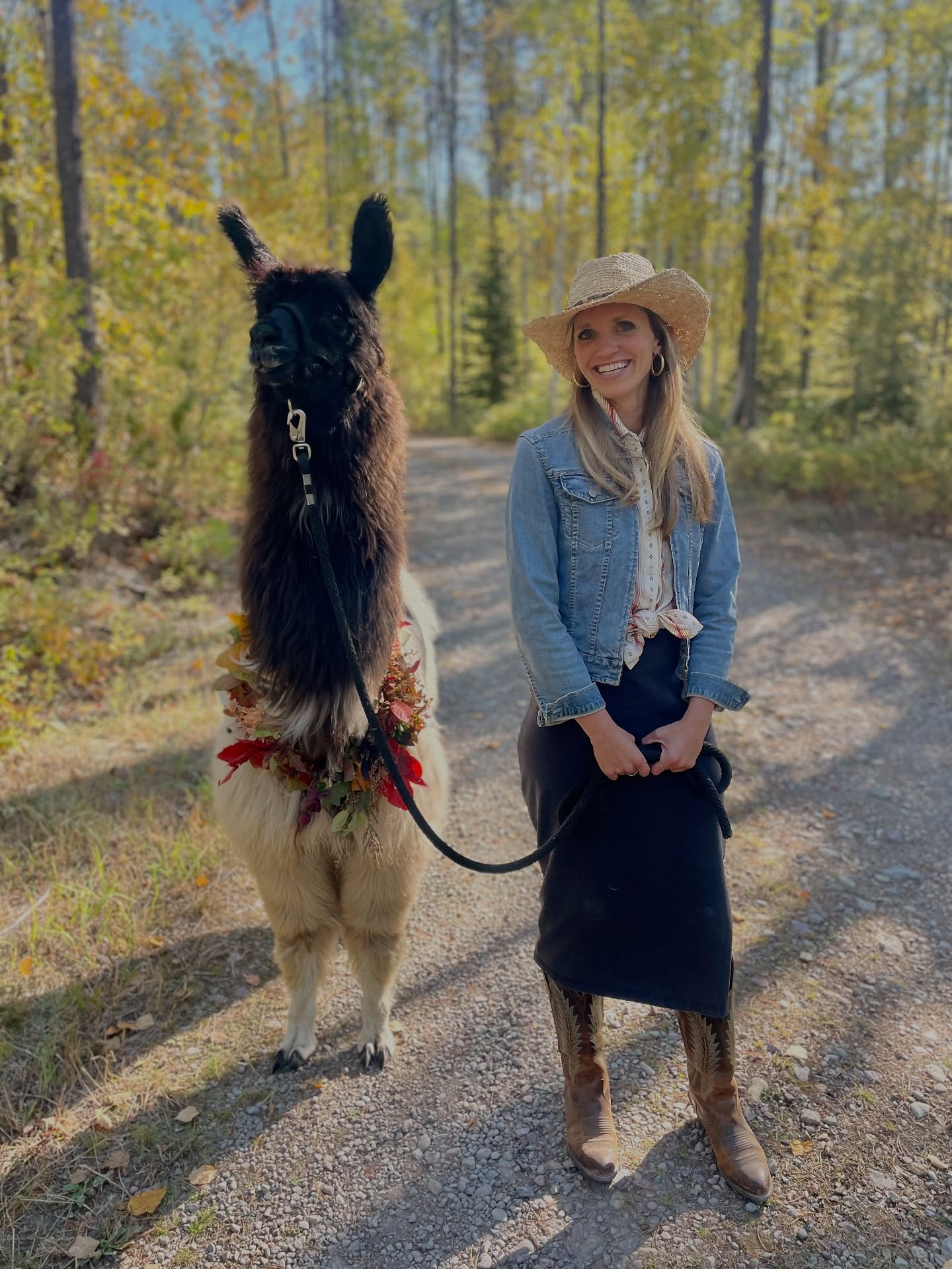 Fall with #llamas. It’s a good look on them.
🦙🦙🦙
#gnllamaco #montana #llamas #llamalove #mountains #outdooradventures #gooutside #westernwear #lifestylevibes #fall #glaciernationalpark #travelmontana