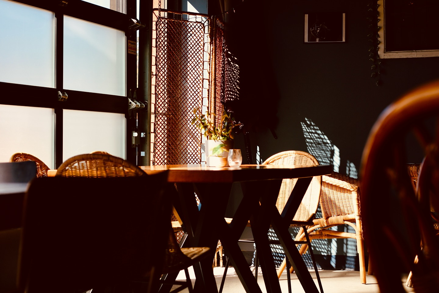 From stainless steel tanks to cozy corners, from flowing taps to board games and sunny patios — our taproom is more than just a place for beer, it’s a place to gather, play, and unwind. 🍻🌿
Come for the brews, stay for the vibe. Join us today and make yourself at home — we’ll save you a seat.
#CraftBeer #TaproomVibes #BreweryLife #SupportLocal #manorpark #ottawabrewery #ottawabeer #ottawaeats #ottawaphotographer