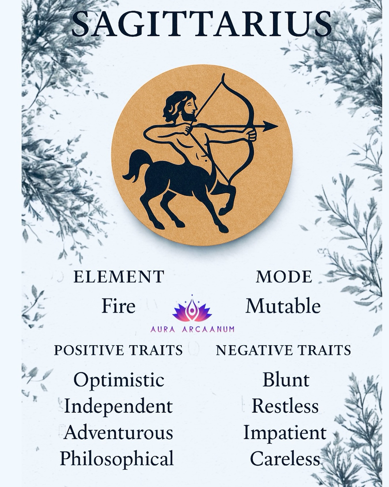 Zodiac sign - Sagittarius
#zodiac #saggitarius♐️