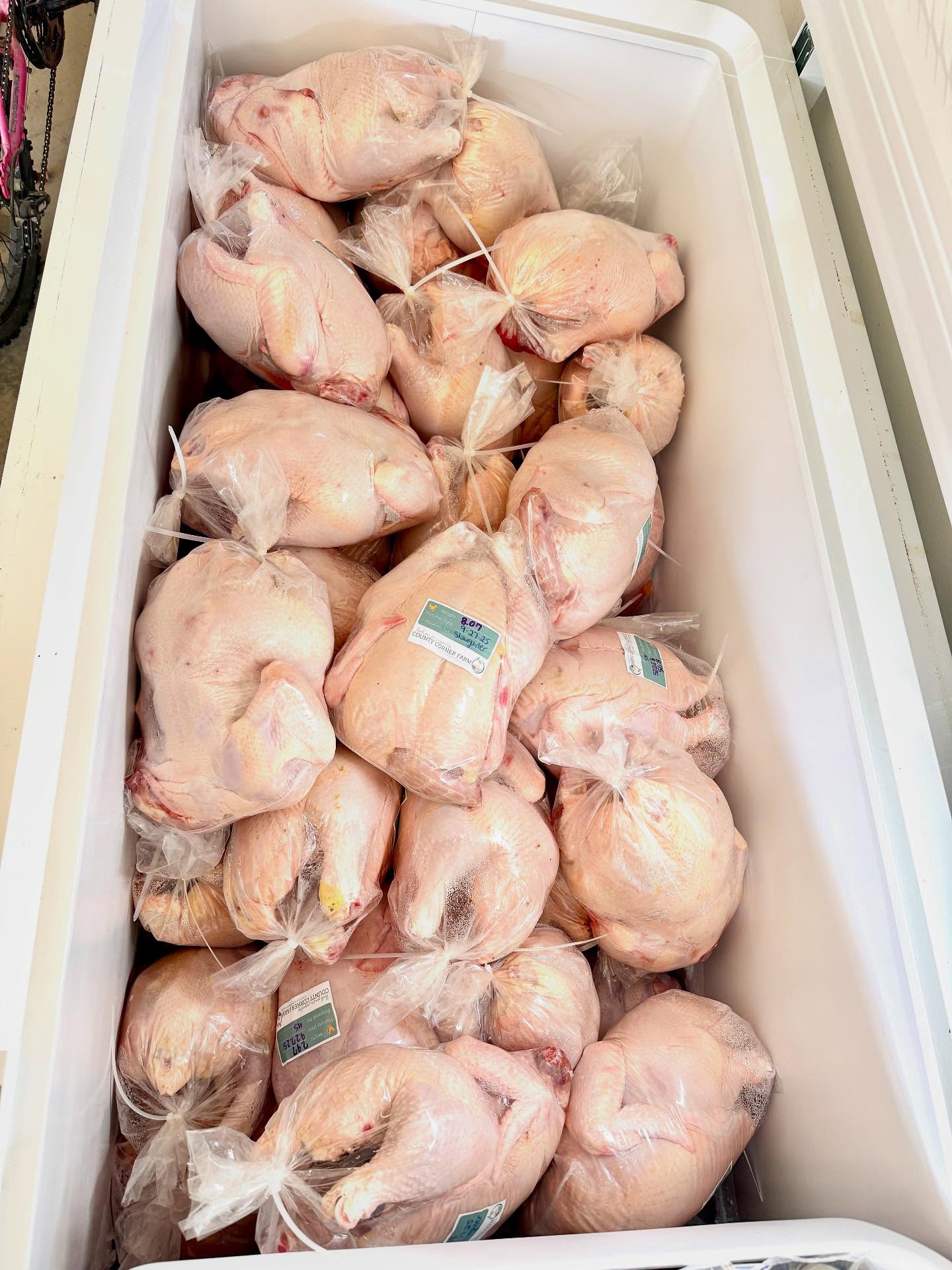 96 chickens were processed this weekend, bringing our 2025 chicken season to a close. This was the most successful flock we’ve ever raised both in finished amount and sizes of the birds! 🐓
Thank you to our wonderful team of helpers who make our big day of processing possible! 🍗