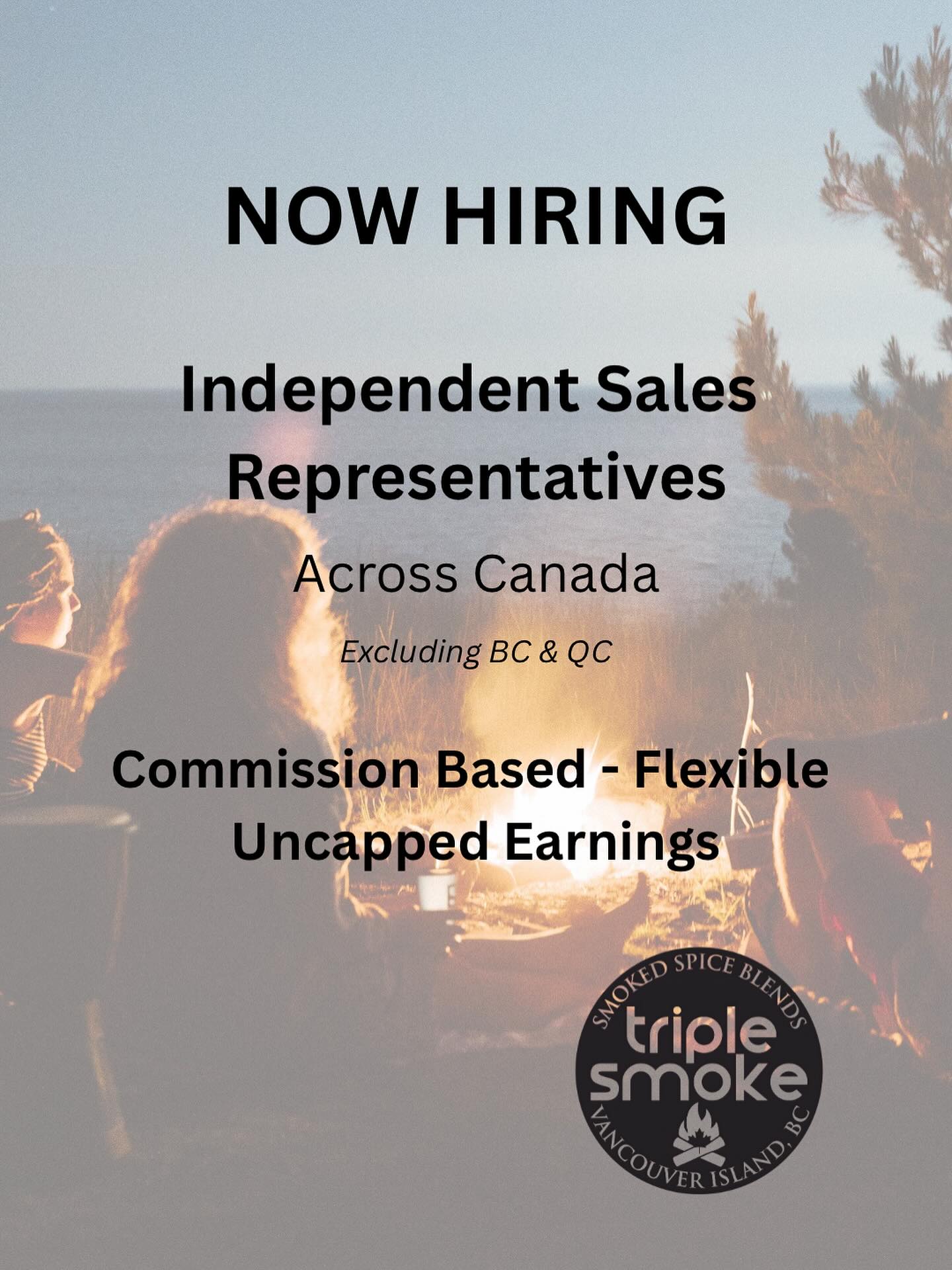 We’re hiring Independent Sales Reps across Canada (excluding BC & QC)!
✅ Commission-based - Flexible - Uncapped Earnings
✅ Available Positions: AB, SK, MB, ON, NB, NS, PEI, NL, YT, NWT, NU
🫵 Apply today via the link in our bio: triplesmokefoods.com/careers
#nowhiring #salesrep #foodsales #canadianjobs #triplesmokefoods