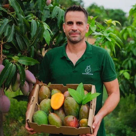🥭✨ Letzte Chance auf europäische Bio-Mangos! ✨🍋
Nur noch bis 1. Oktober im Shop bei Pfaffenhofener Land / Marktschwärmer!
💚 In deiner Box:
👉 Mango Osteen – violett-orange Schönheit, süß & saftig
👉 Mango Keitt – grün-rosa Riese, aromatisch & cremig
🌱 Von der Unión de Fincas – spanischen einer Landwirt:innen-Gemeinschaft.
🎁 Mit dem Code VOIXFEST5 bekommst du 5 € geschenkt!
➡️ Schnell zugreifen und den Spätsommer genießen! 🌞