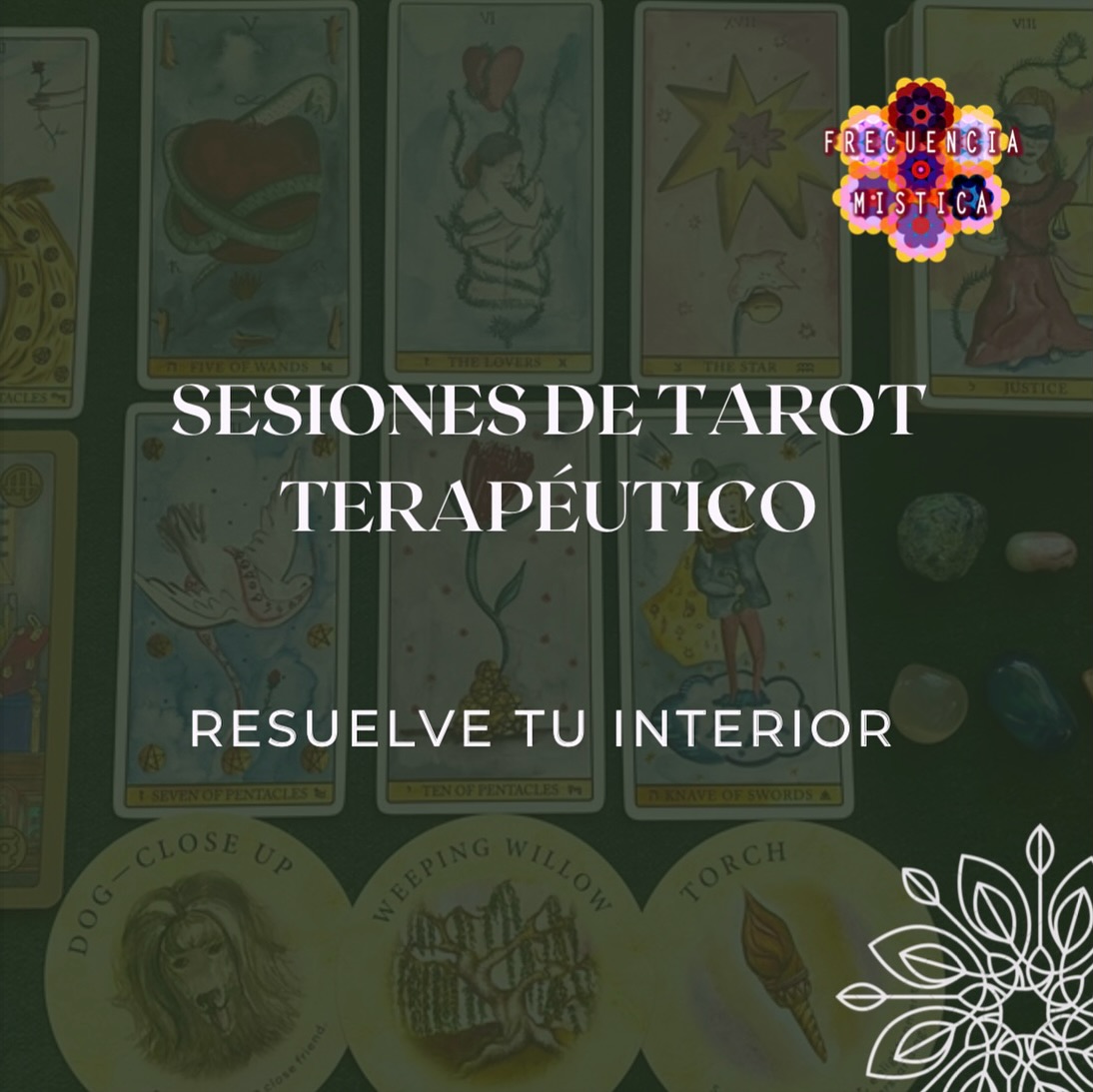 ✨Sesiones de tarot y oráculo por hora y por pregunta✨ Para mujeres🌷No importa dónde te encuentres🪐
.
.
.
.
.
#tarot #sesionesdetarot #sesionesdetarotterapéutico #tarotistas #tarotbolivia #taromante #taromancia #tarotonline #tarotterapéutico #taroterapeutico #tarotyoraculo #lecturadecartas #lecturadetarot #lecturadecristales